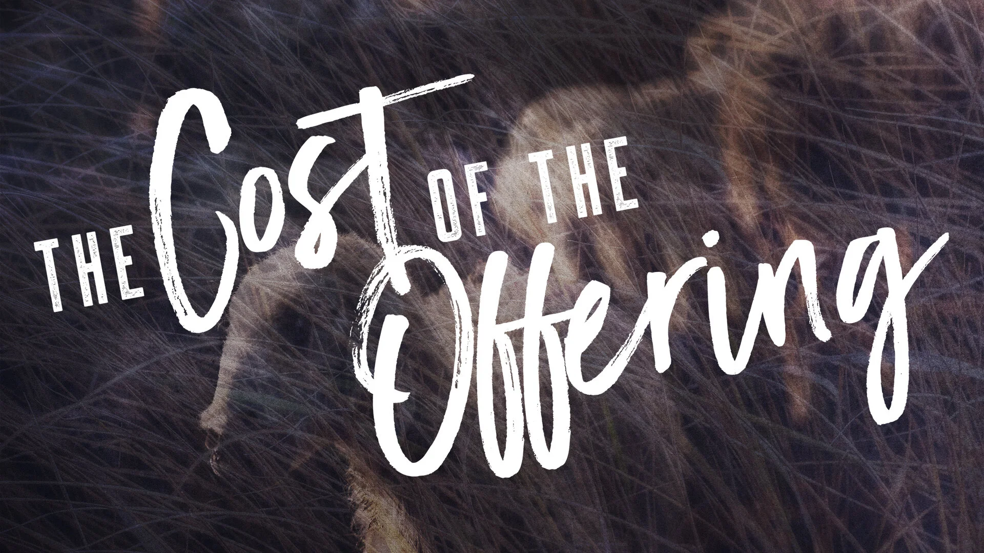 the cost of the offering_revised 1920 x 1080.jpg