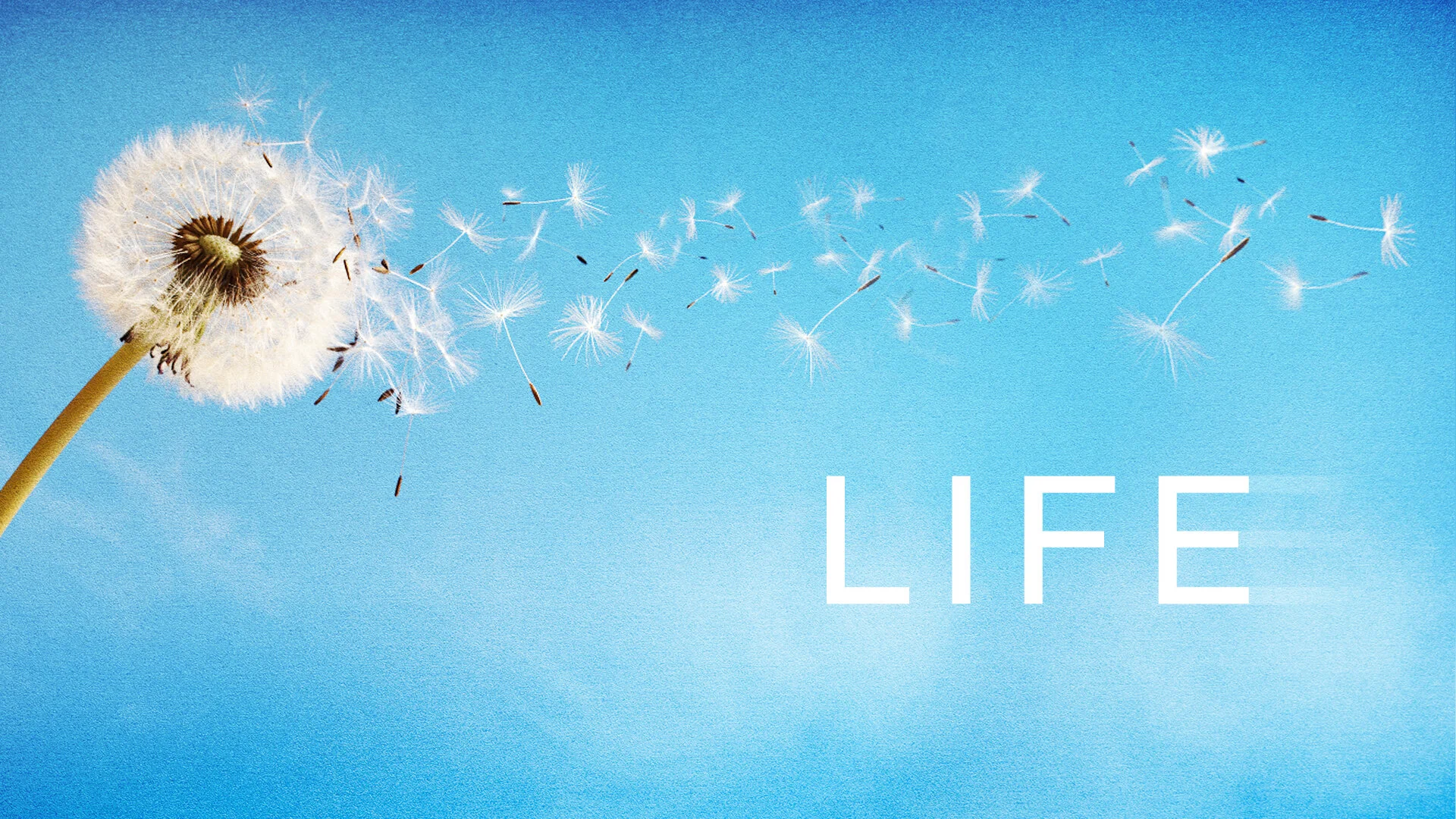 Life - Pastor Nathan Holmes