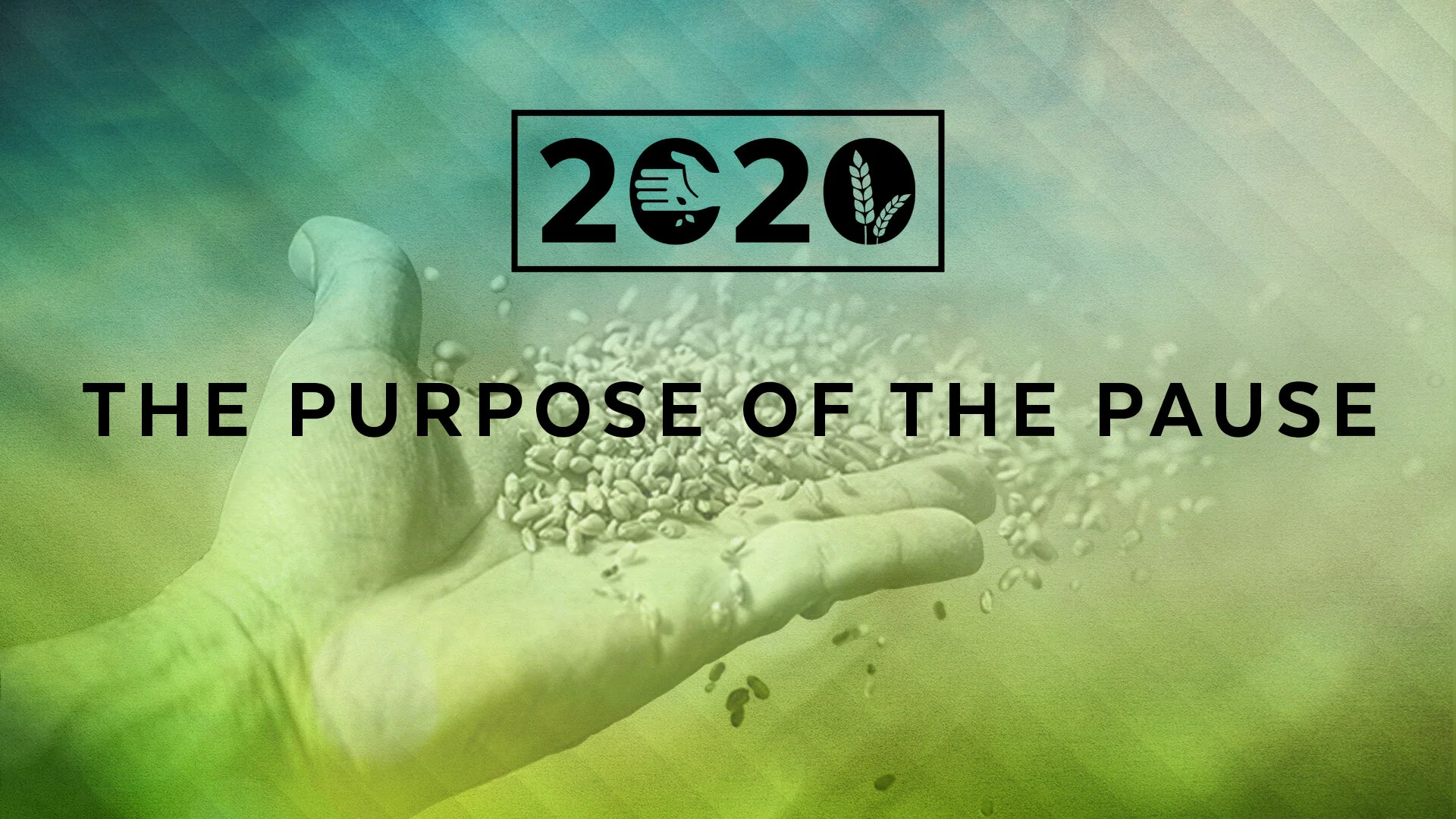 purpose of the pause.jpg