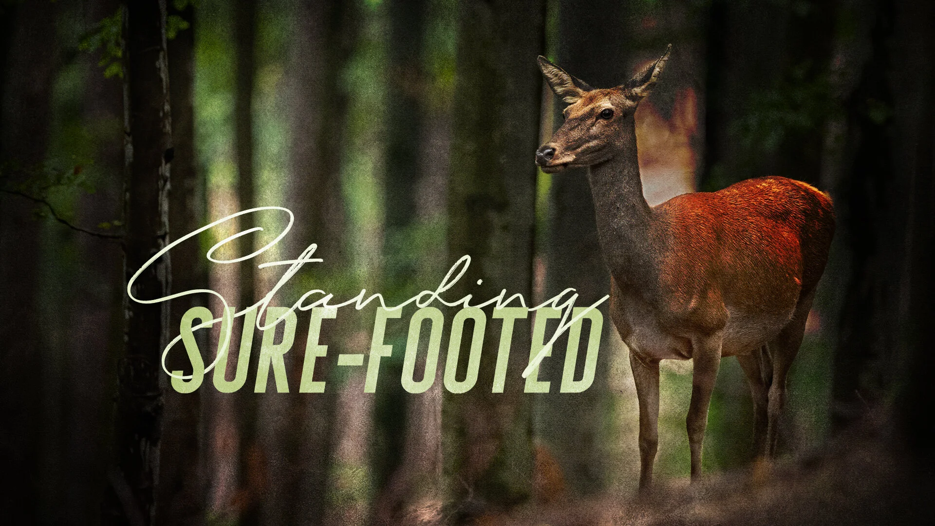 Standing Sure Footed - Pastor Nathan Holmes
