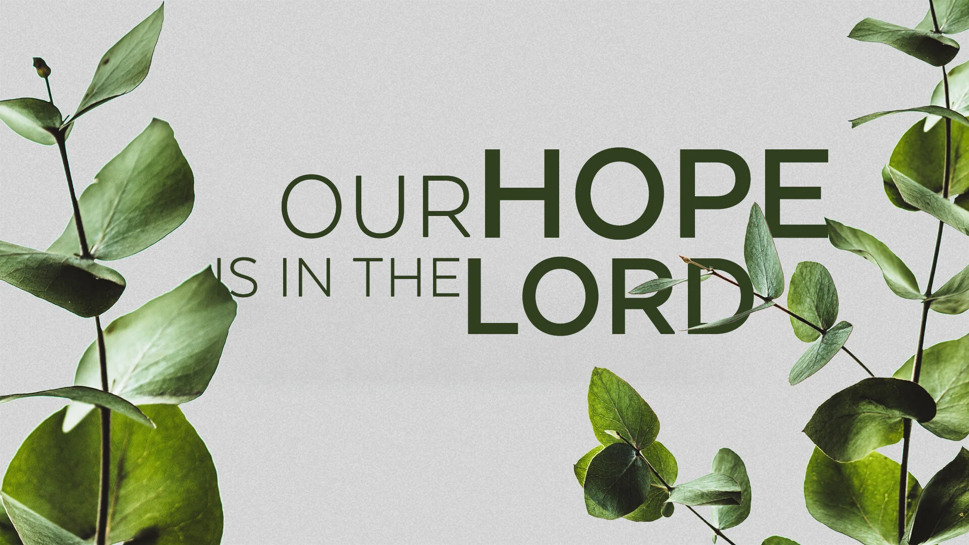 Our Hope Is In The Lord - Rev. Matthew Davies