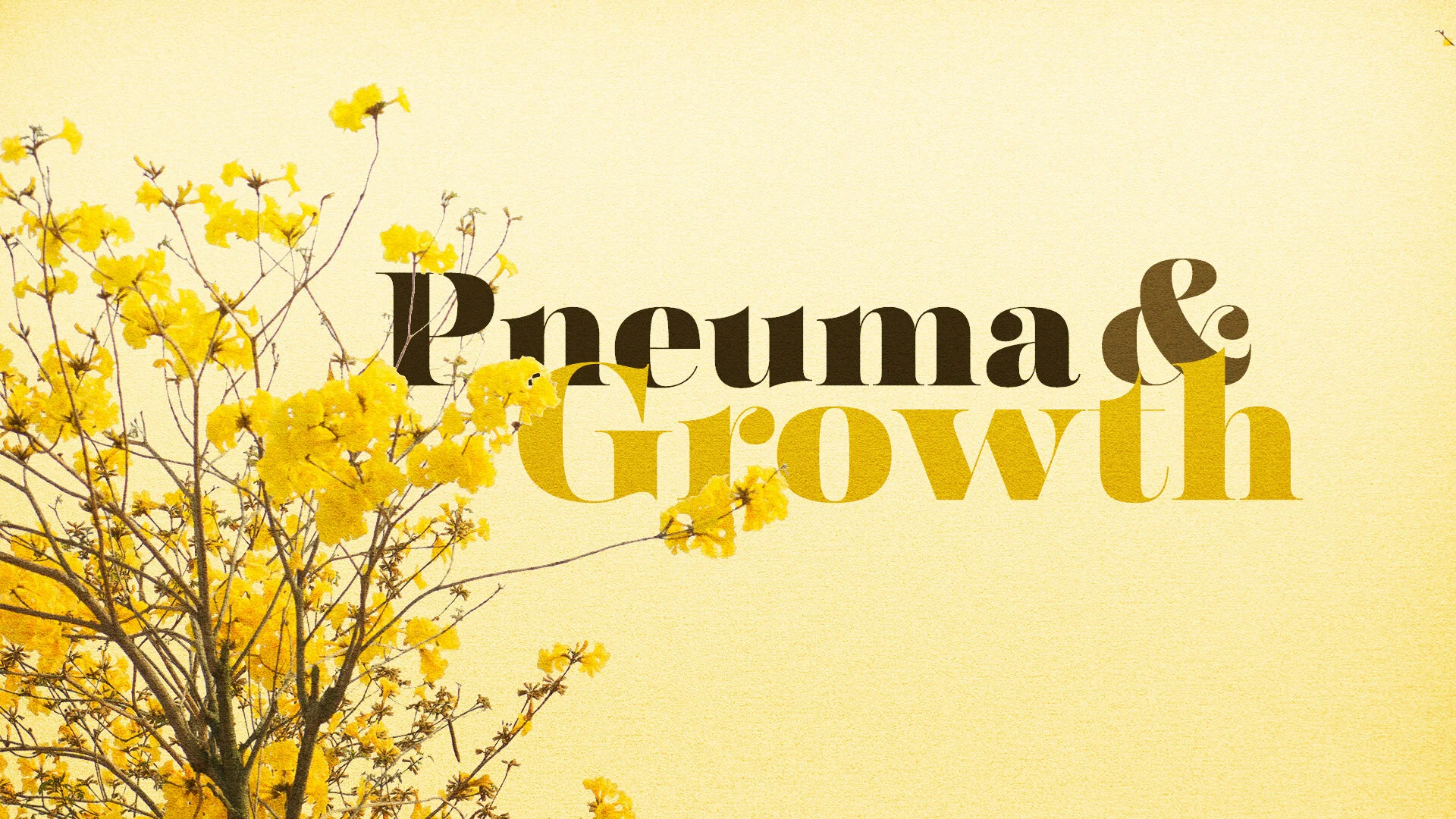 pneuma_growth.jpg