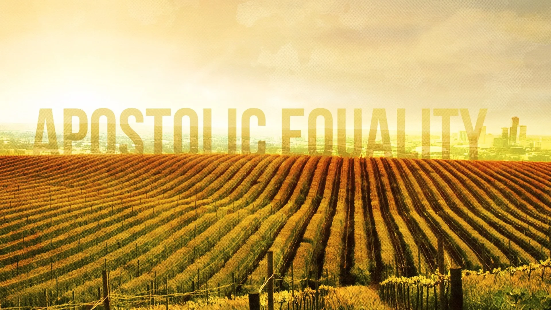 Apostolic Equality.jpg