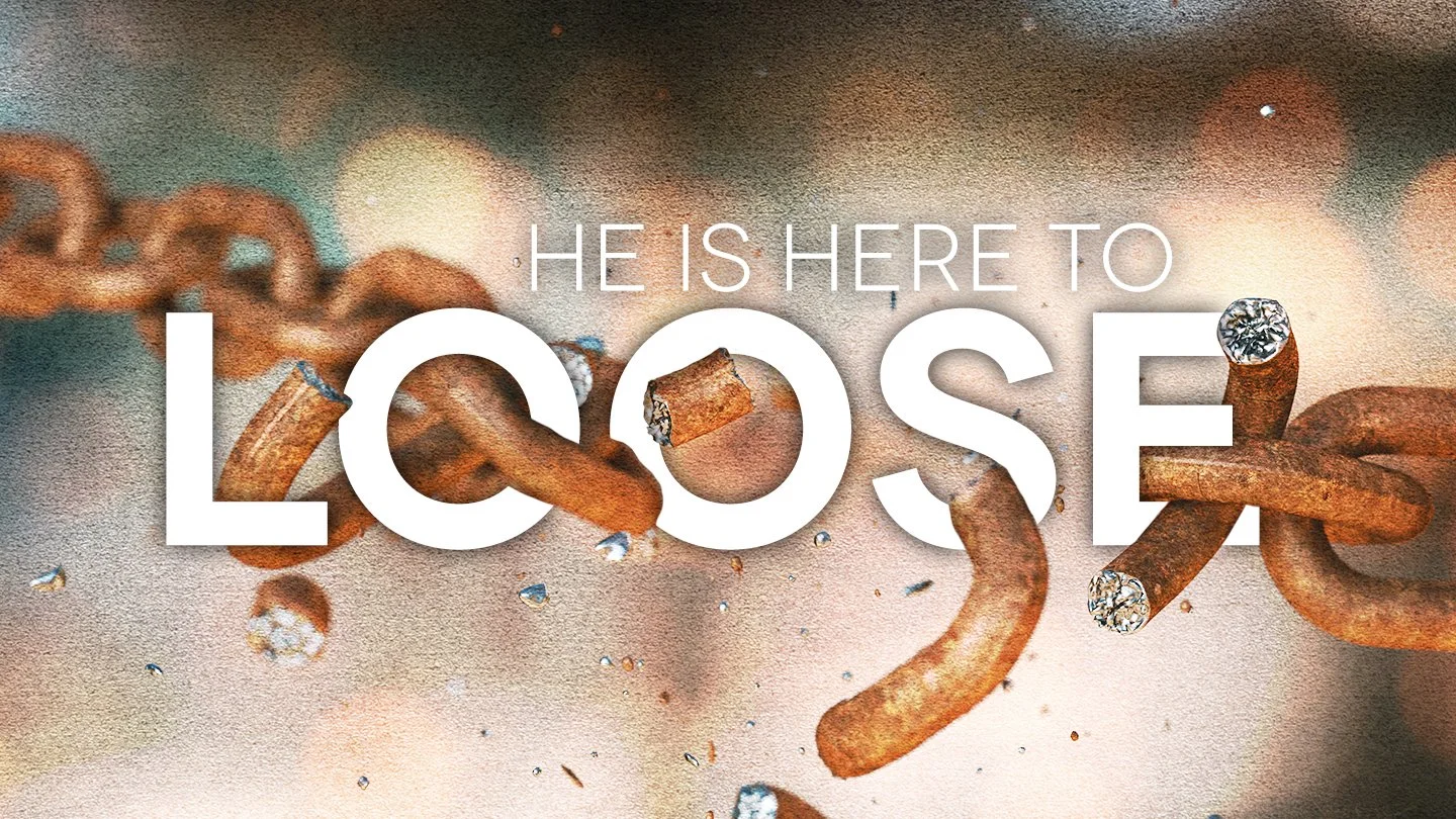 He Is Here To Loose Fish, Taylor Thumbnail.jpg