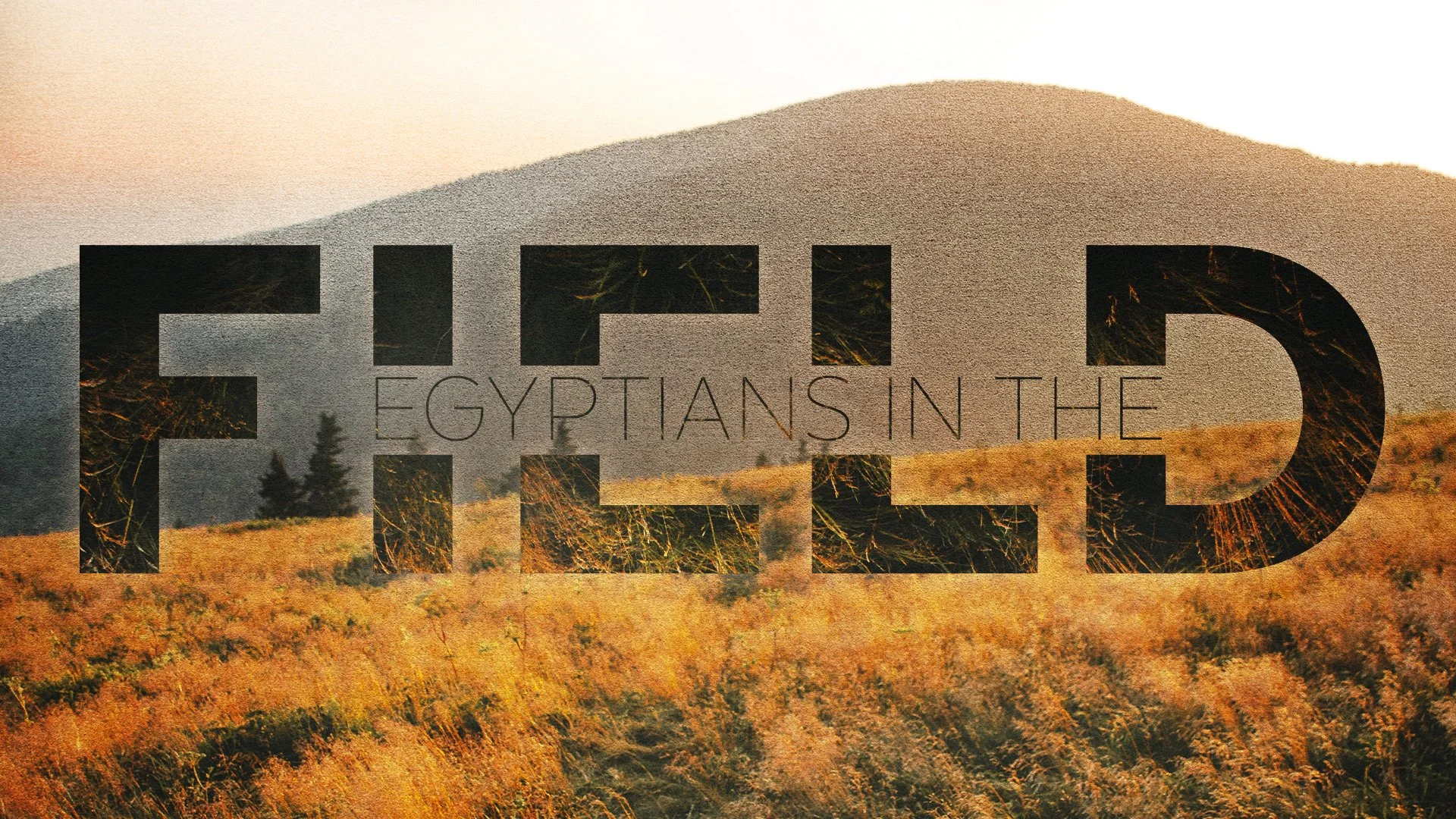 Egyptians In the Field Fish, Taylor Thumbnail.jpg
