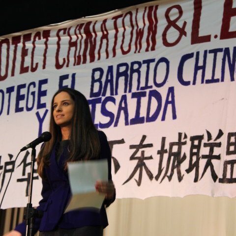 Jim Owles Liberal Democratic Club endorse Jenifer Rajkumar for Sheldon Silver’s seat