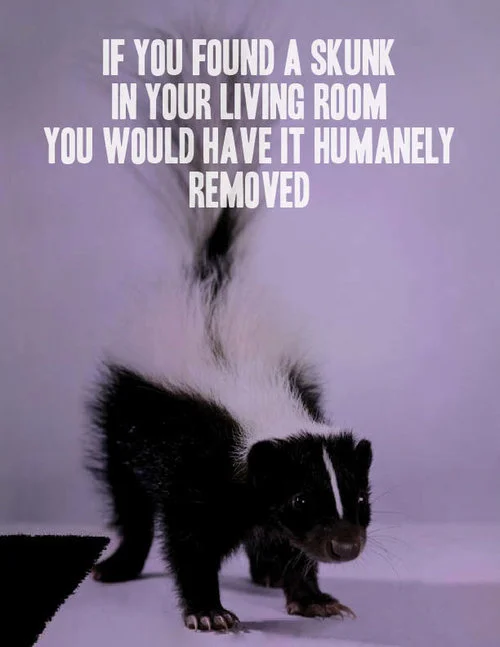 Jim Owles Liberal Democratic Club Literature Campaign Endorsements 2014