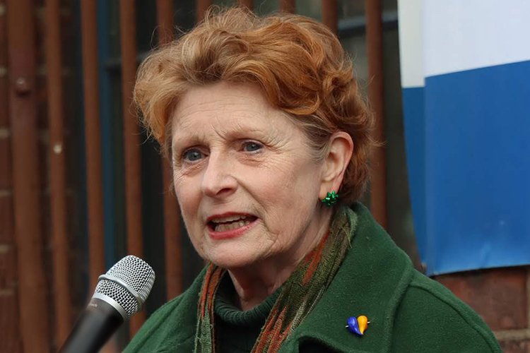 Candidate Answers to JOLDC: Jo Anne Simonfor NY Assembly District 52