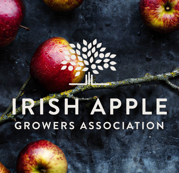 Irish Apples - Brand identity &amp; Site