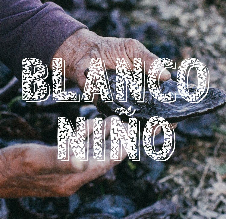 Blanco Nino Brand Development