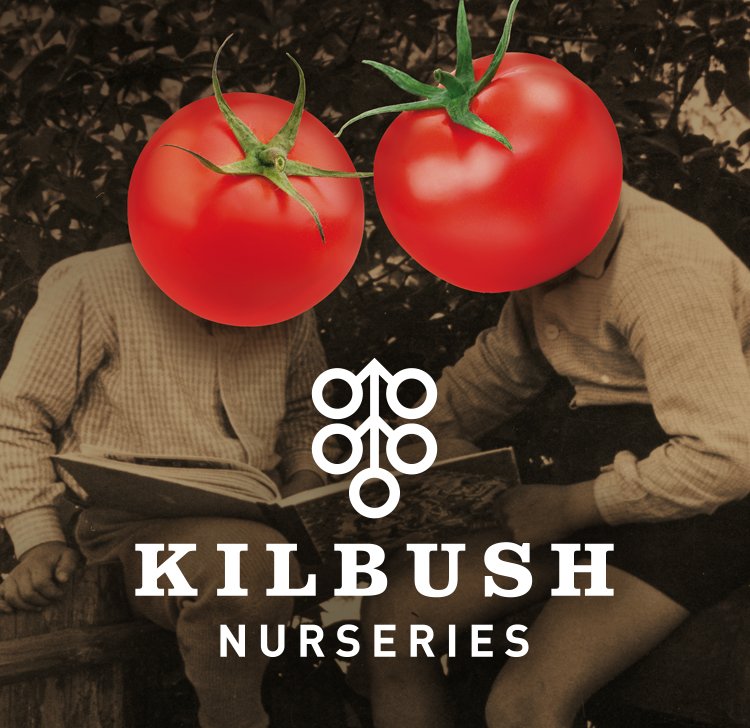 Kilbush brand identity &amp; packaging