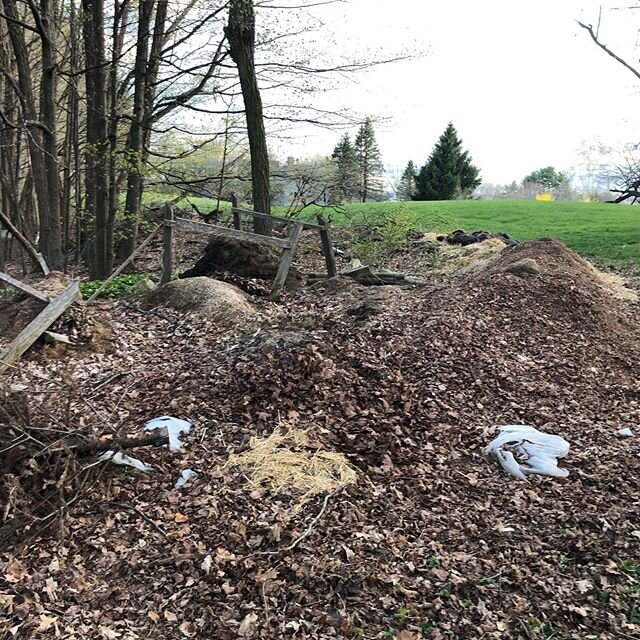 Pushback &amp;pile debris to wood line