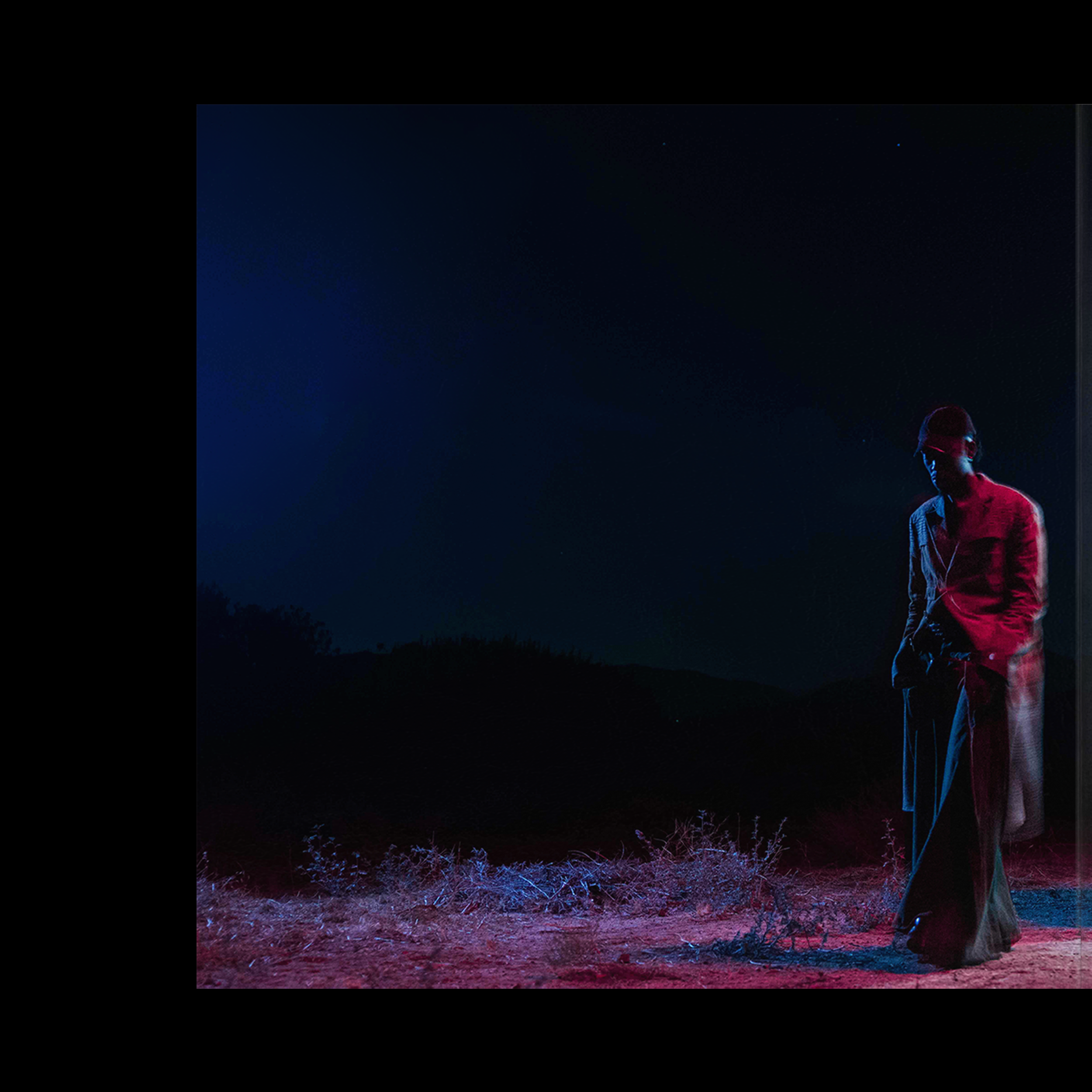 Chase Gatefold Inside Carousel-01.PNG