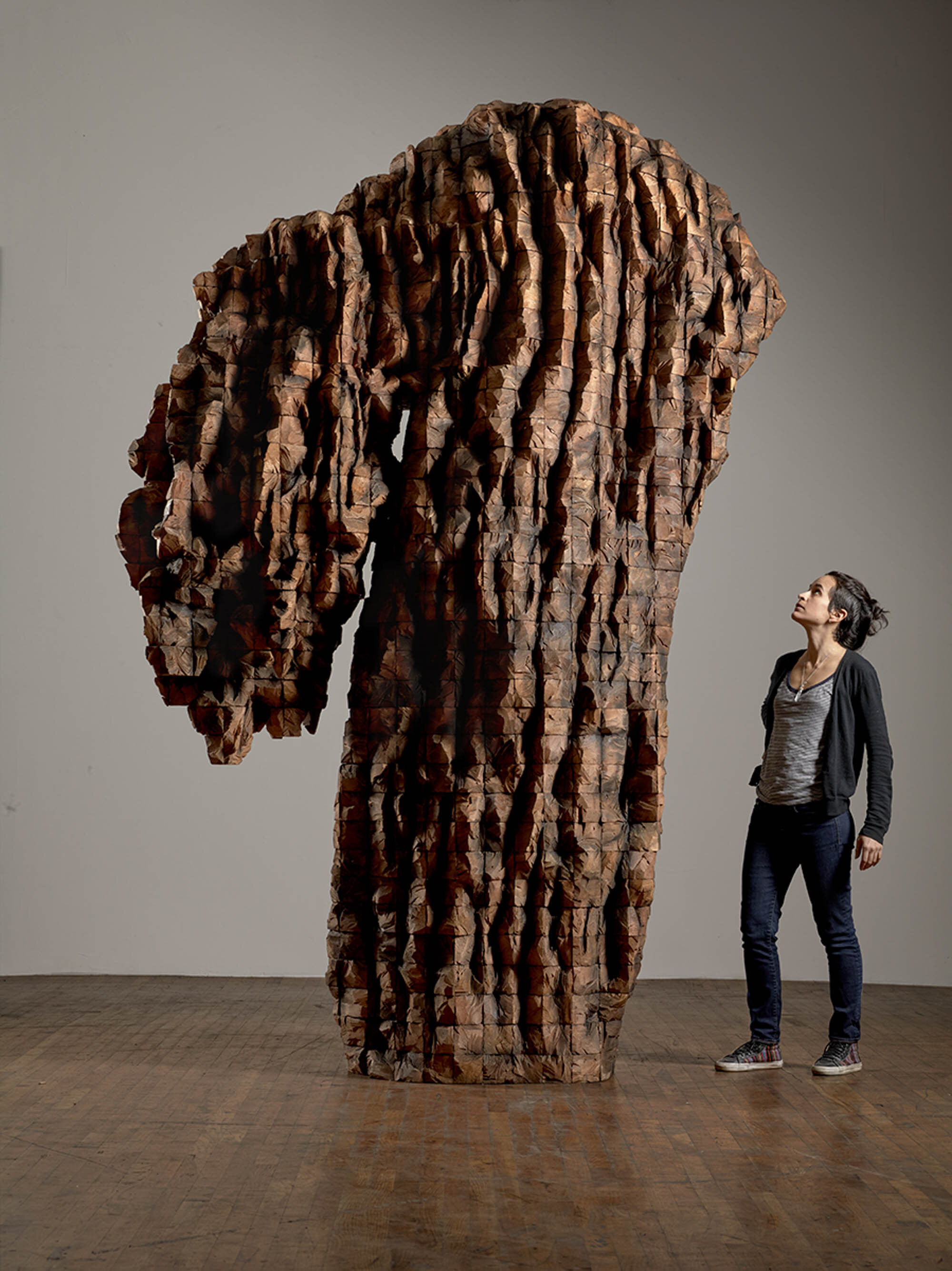       for Natasha , 2015 Cedar and graphite 115 x 79 x 42 in.    MORE IMAGES   The Fabric Workshop and Museum   National Museum Of Women In The Arts  