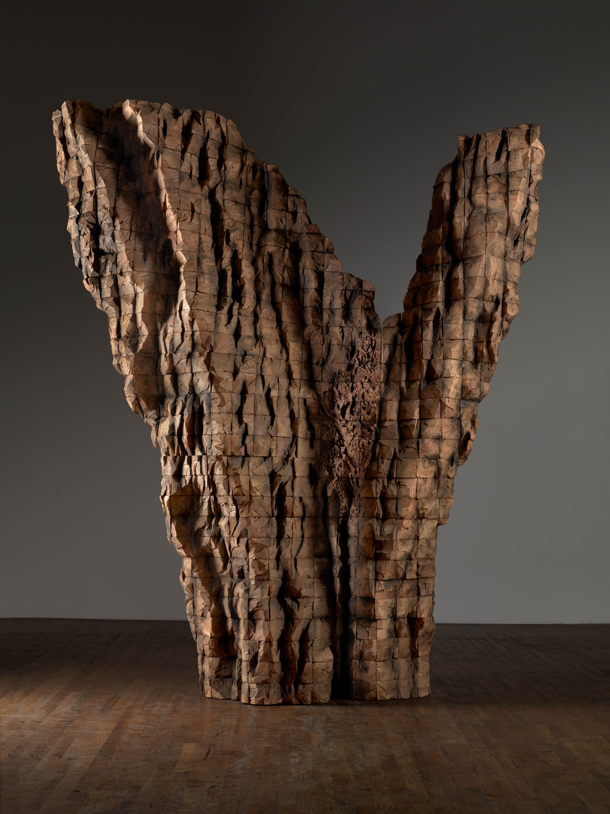       "V" STOP , 2015 Cedar and graphite 103 x 87 x 40 in.    MORE IMAGES  