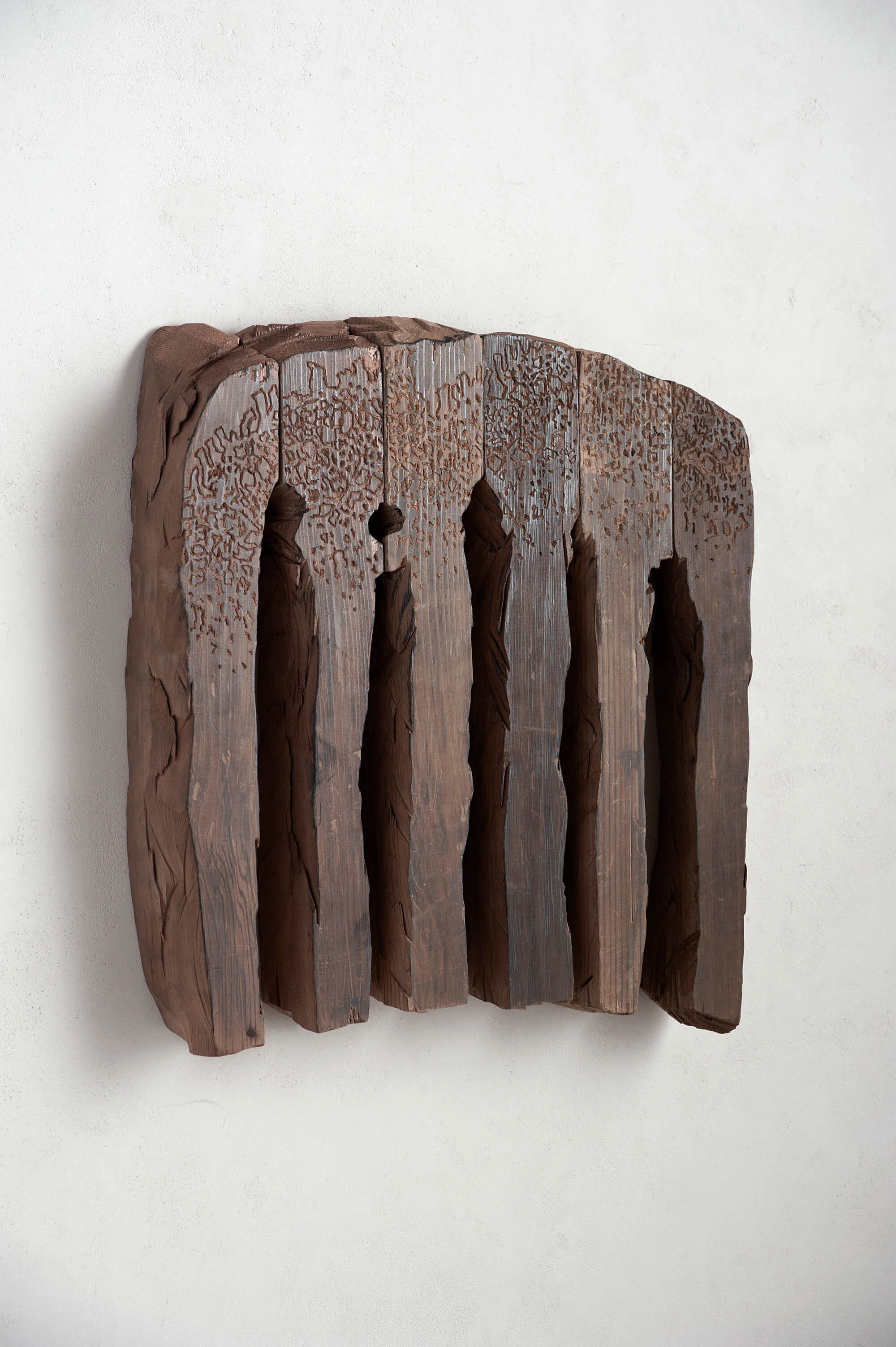 Grzebyk with Lace , 2014 Cedar and graphite 22 x 21 x 3.5 in. Galerie Lelong & Co.