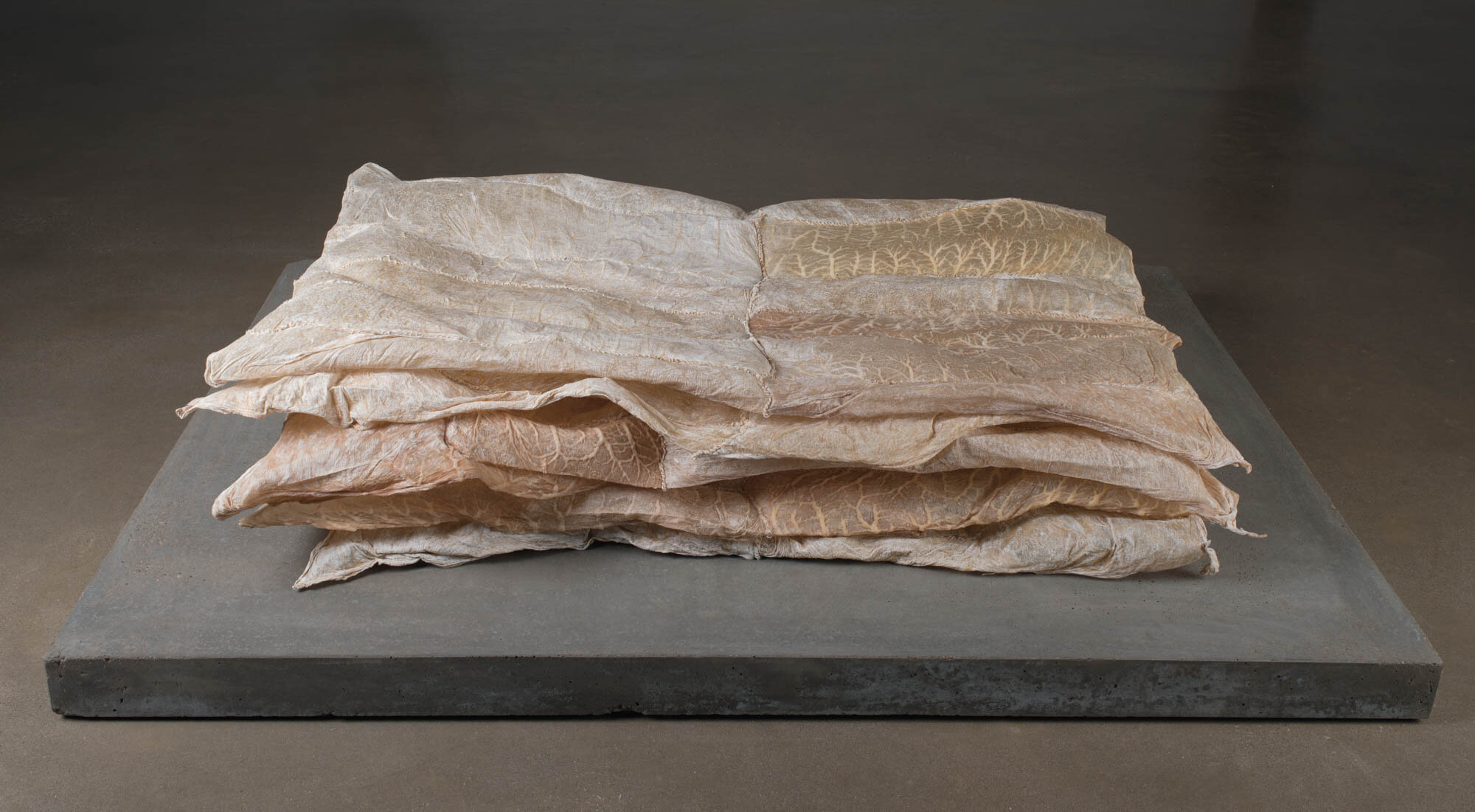       untitled (stacked blankets) , 2014 Cow intestines and string 11.25 x 65.125 x 44.625 in.    MORE IMAGES   The Fabric Workshop and Museum  