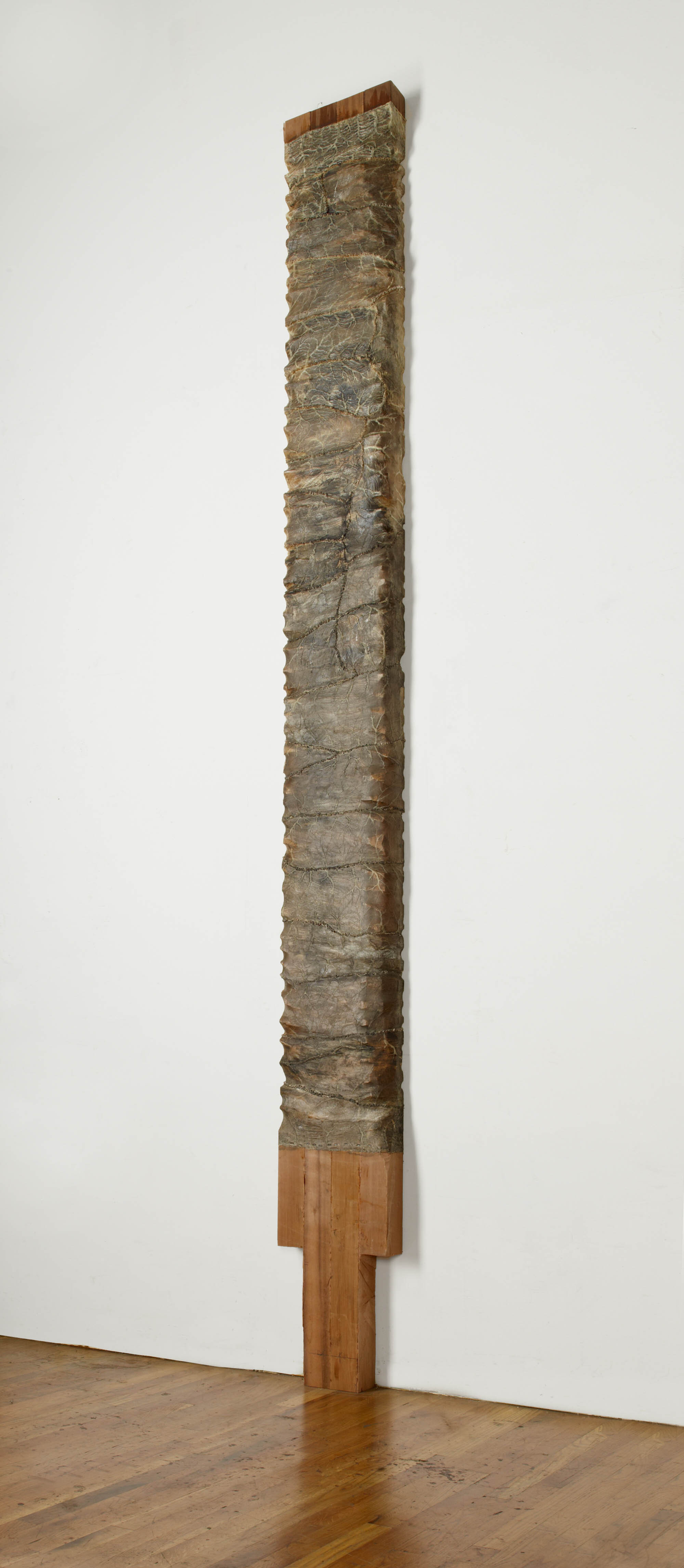       Maglownica III,  2012-13 Cedar, graphite, and cow intestines 150 x 14 x 4 in.    MORE IMAGES   Galerie Lelong &amp; Co.  