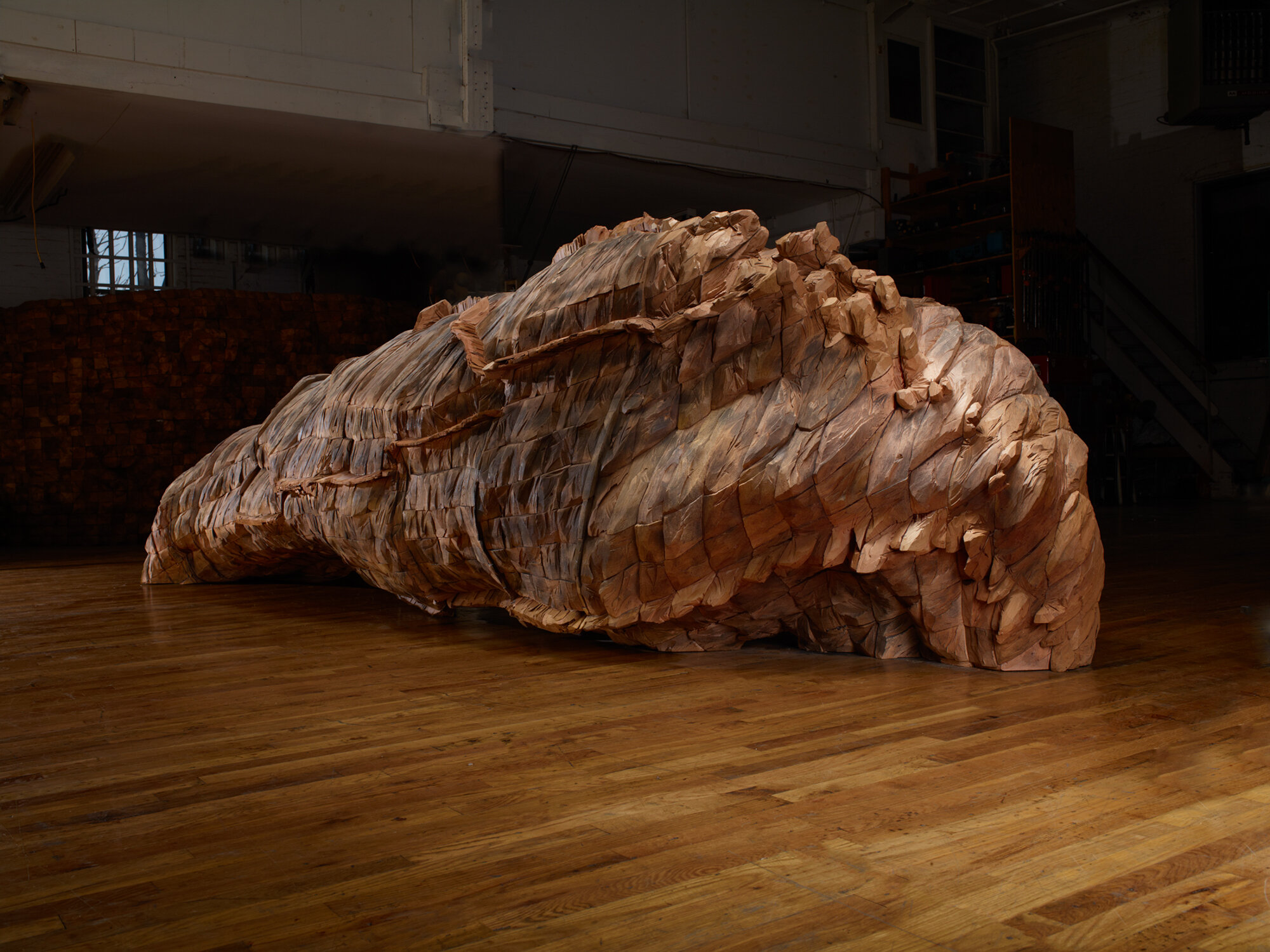      OCEAN VOICES , 2011-2012 Cedar and graphite 53 x 185 x 67 in.    MORE IMAGES   The National Museum Of Women In The Arts  