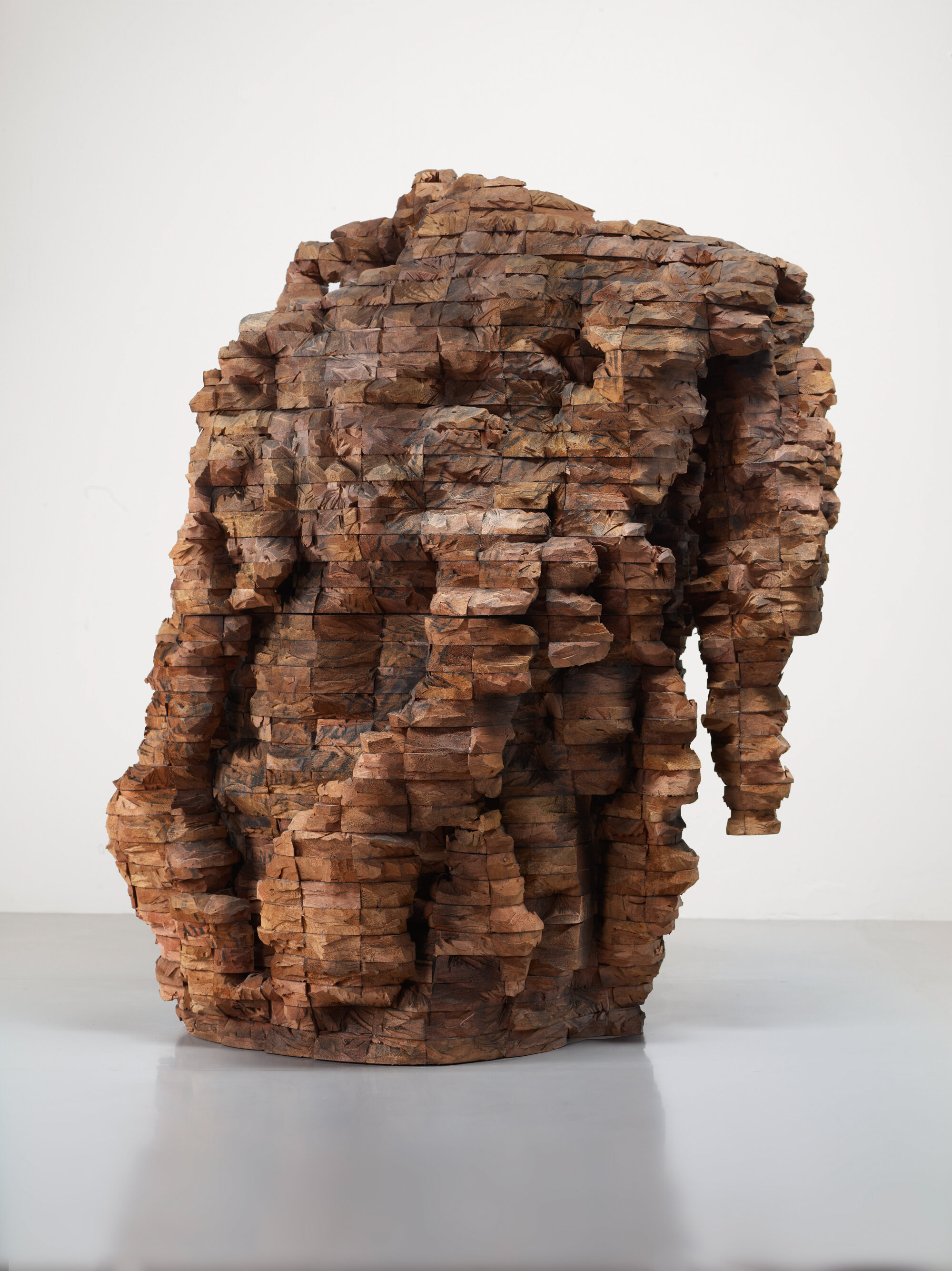       Amelia , 2011 Cedar and graphite 54 x 46 x 39 in.    MORE IMAGES   Galerie Lelong &amp; Co.  