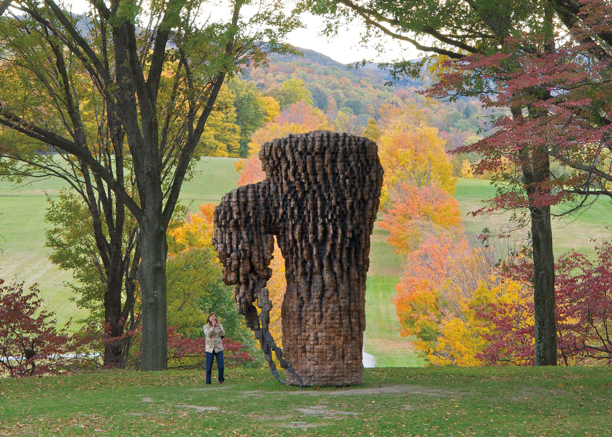       Luba , 2010 Cedar, graphite, and bronze 212 x 139 x 88 in.    MORE IMAGES   Storm King Art Center  