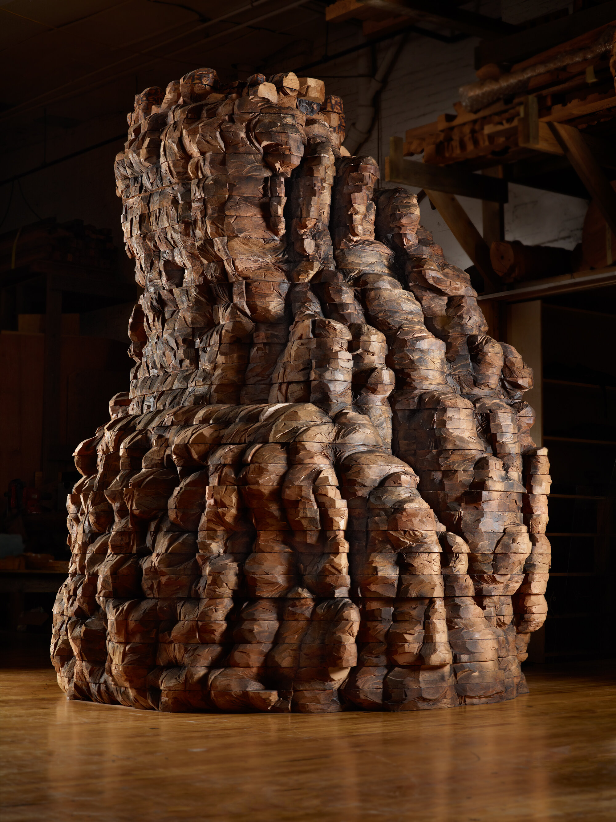      throne thief , 2010 Cedar and graphite 106 x 92 x 88 in.    Galerie Lelong &amp; Co.  