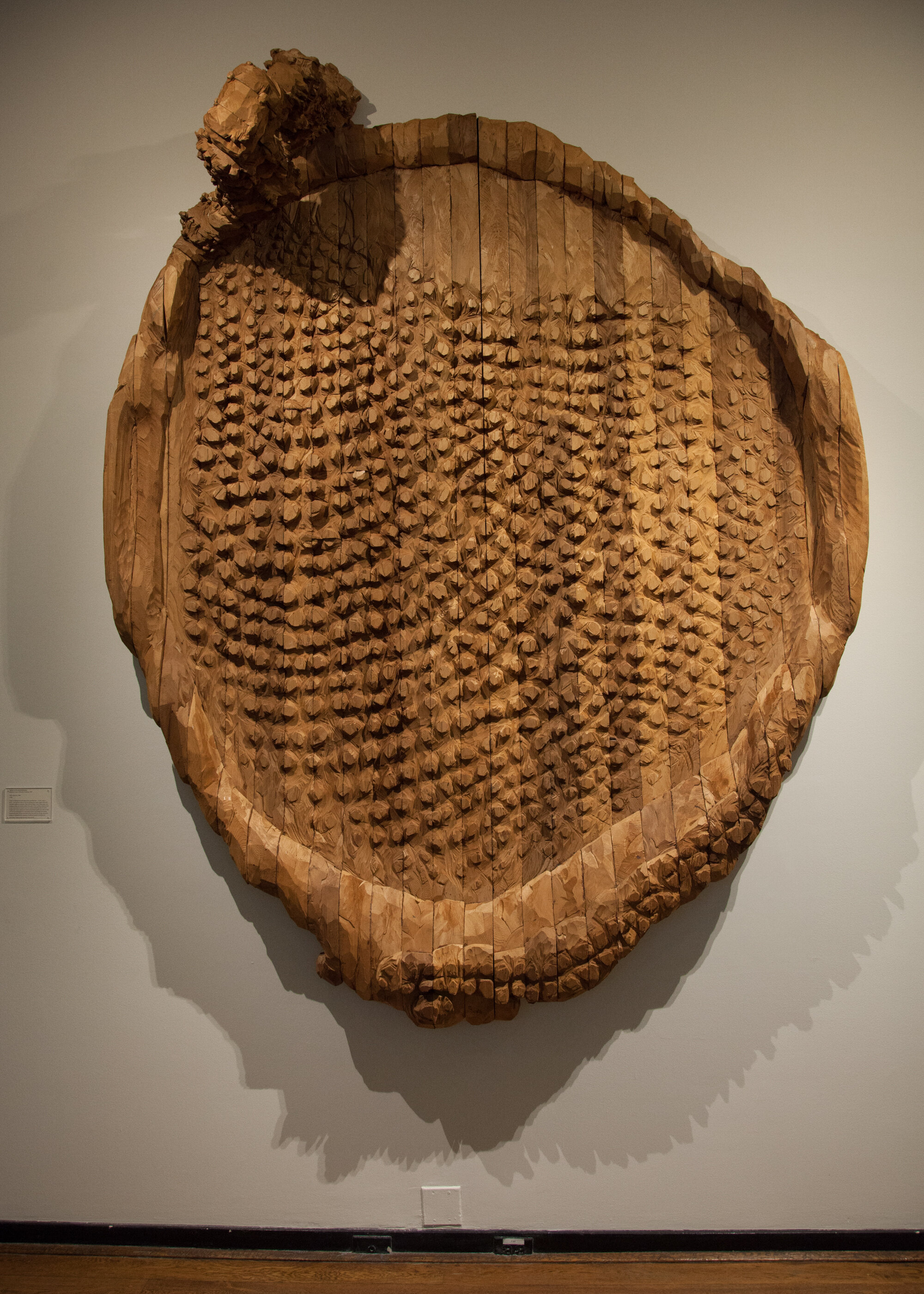       Plate with Dots , 2006 Cedar 115 x 89 x 3.5 in.    MORE IMAGES   The Rockefeller University  