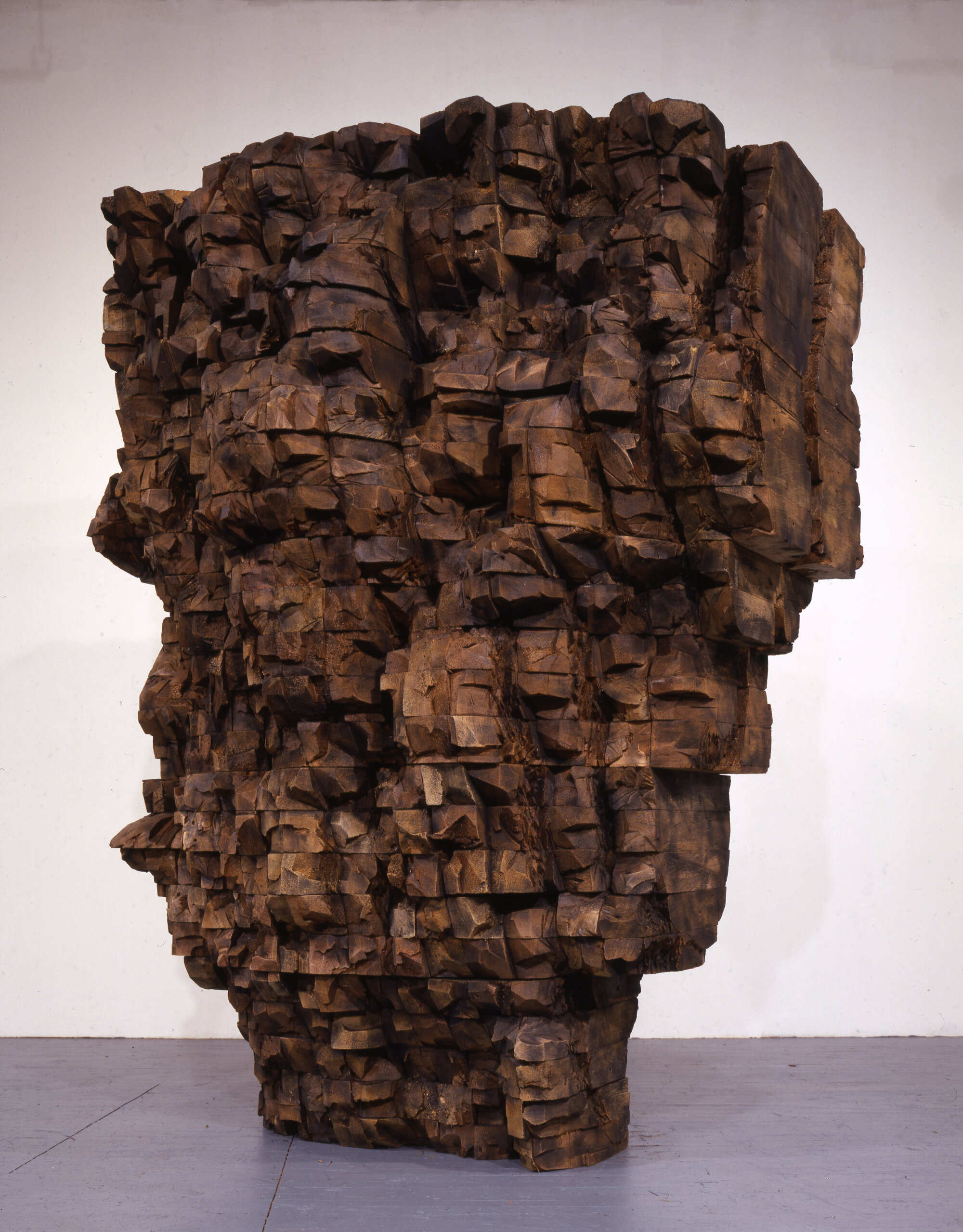       Bowl with Side Steps , 2002 Cedar and graphite 83.5 x 70 x 69 in.    Neuberger Museum of Art   Galerie Lelong &amp; Co.  