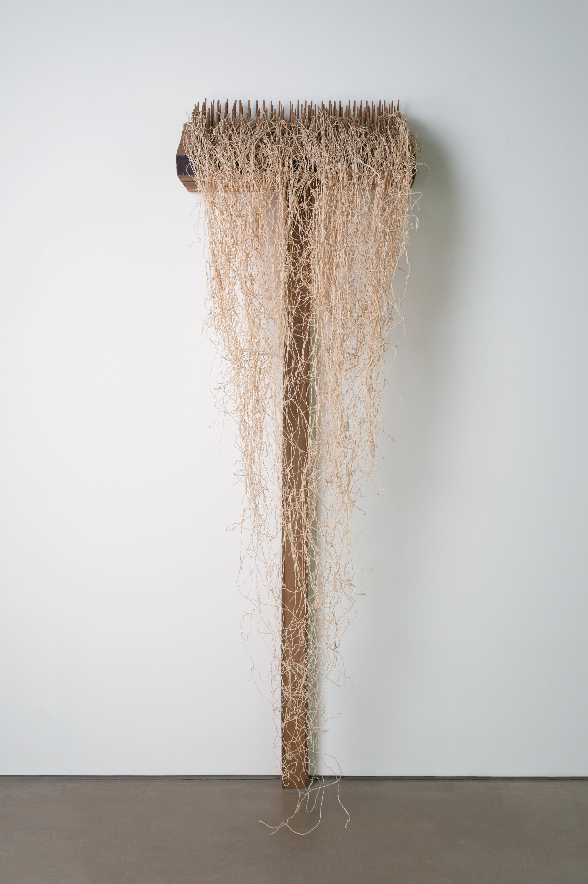       untitled (brush) , 2000 Cedar and pig intestines 116 x 29 x 11 in.    MORE IMAGES   Yorkshire Sculpture Park   Galerie Lelong &amp; Co.  