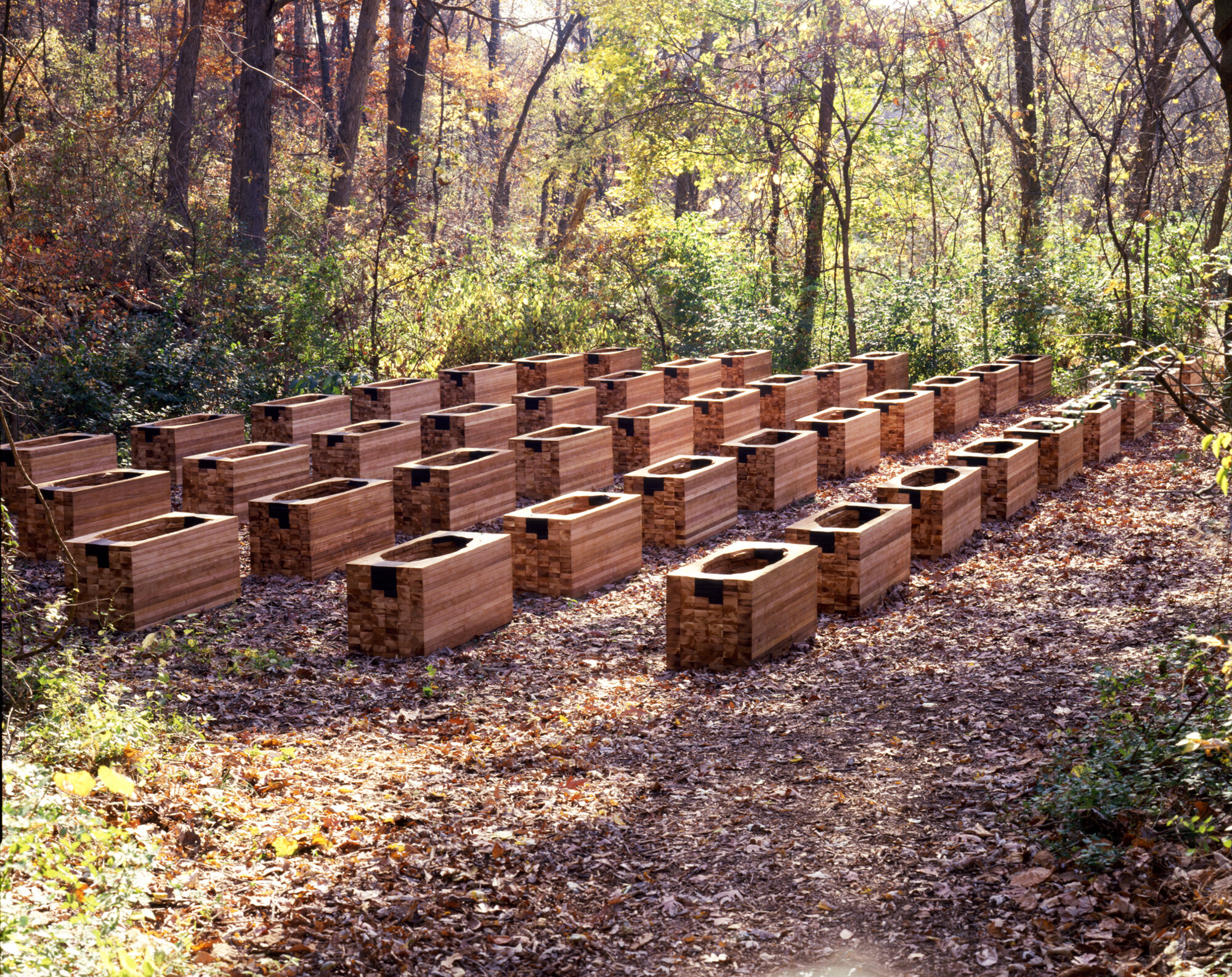       Untitled (45 Tubs) , 1988-1989 Cedar and rubber 24 x 792 x 360 in.    MORE IMAGES   Laumeier Sculpture Park  