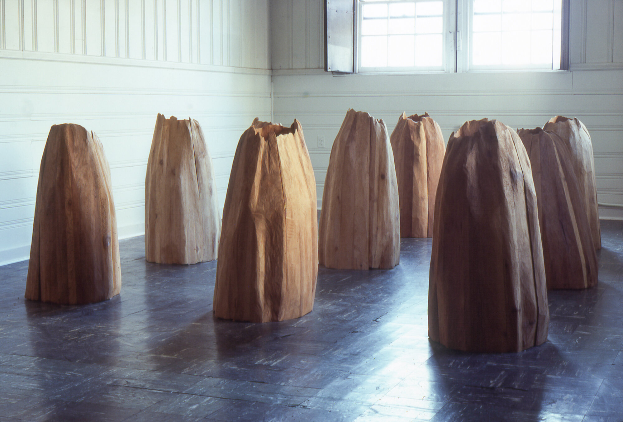       Untitled (nine cones) , 1976 Cedar 42 x 180 x 156 in.    MORE IMAGES  