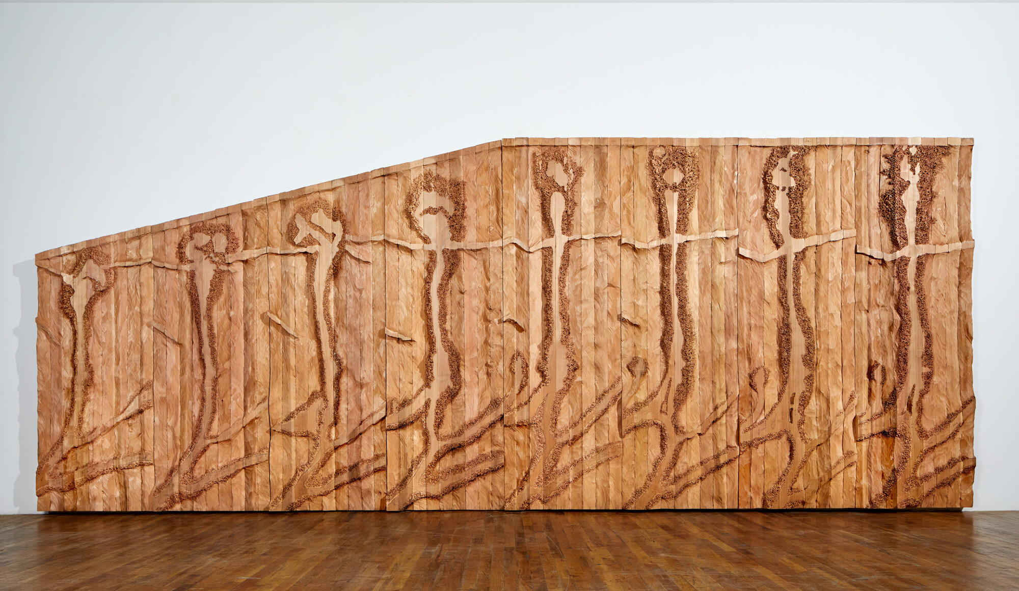   PAVEŁ,  2019  Cedar  97.5 x 253 x 3.5 in.    MORE IMAGES  