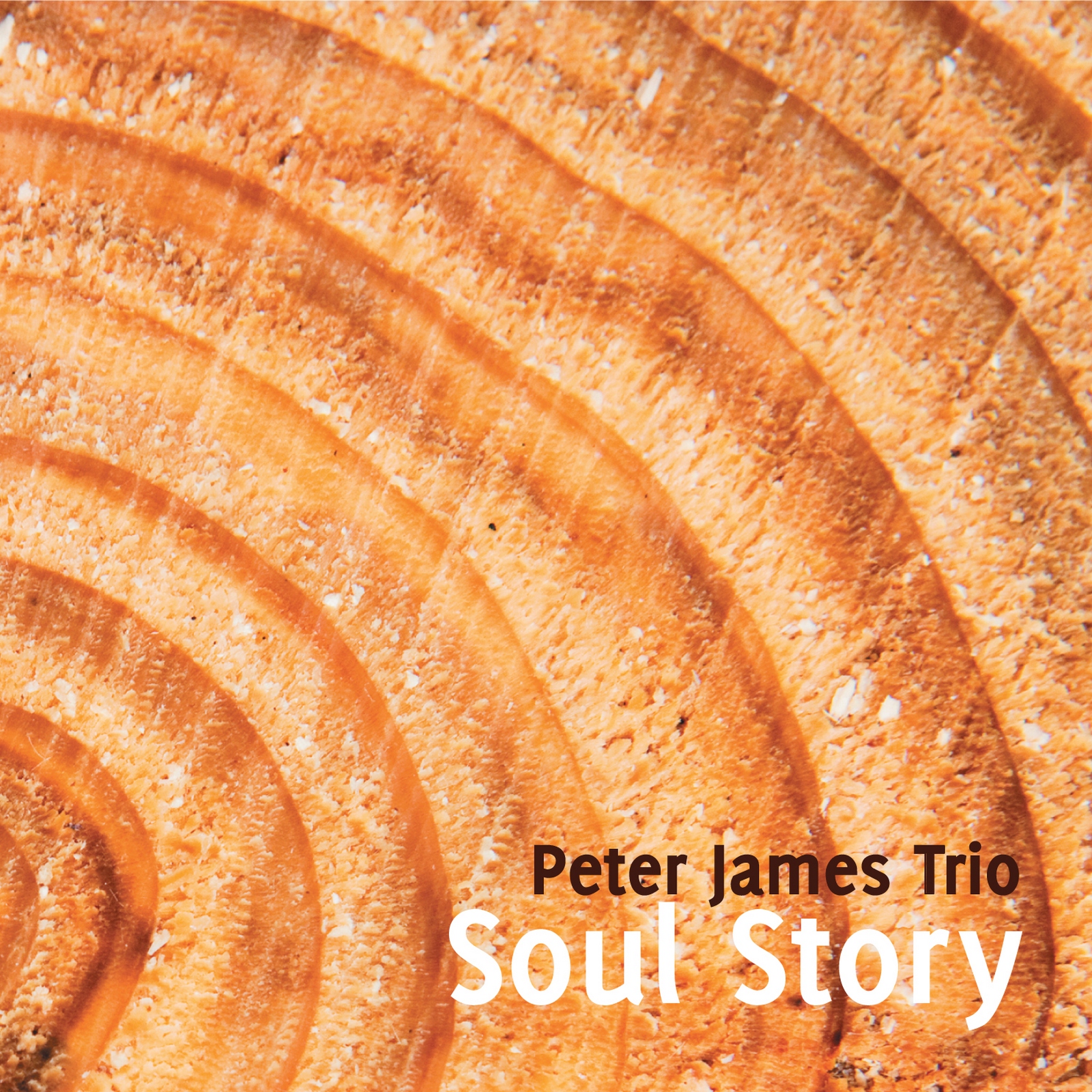 (2011) Peter James Trio - Soul Story 