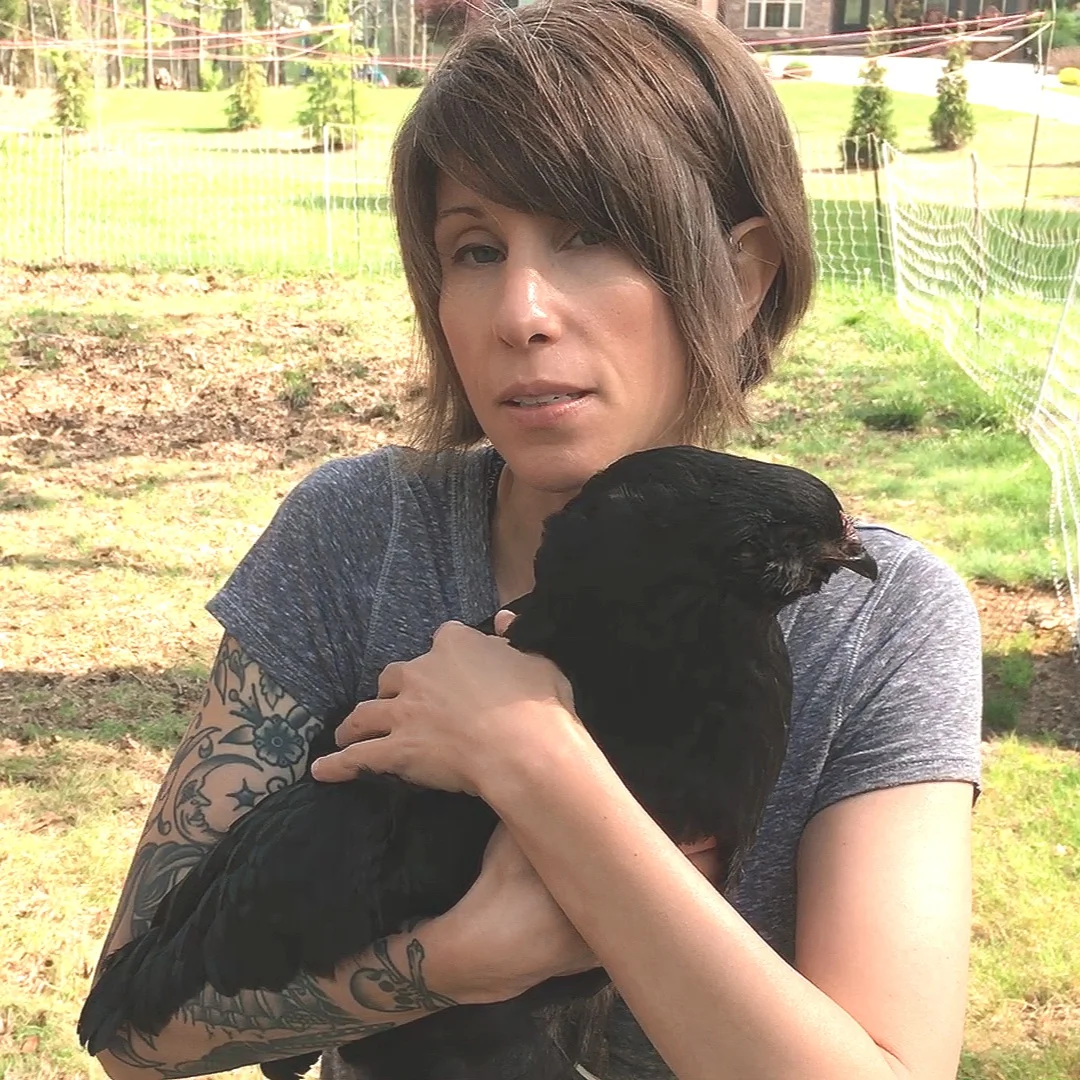 When Things Go Wrong with Chickens