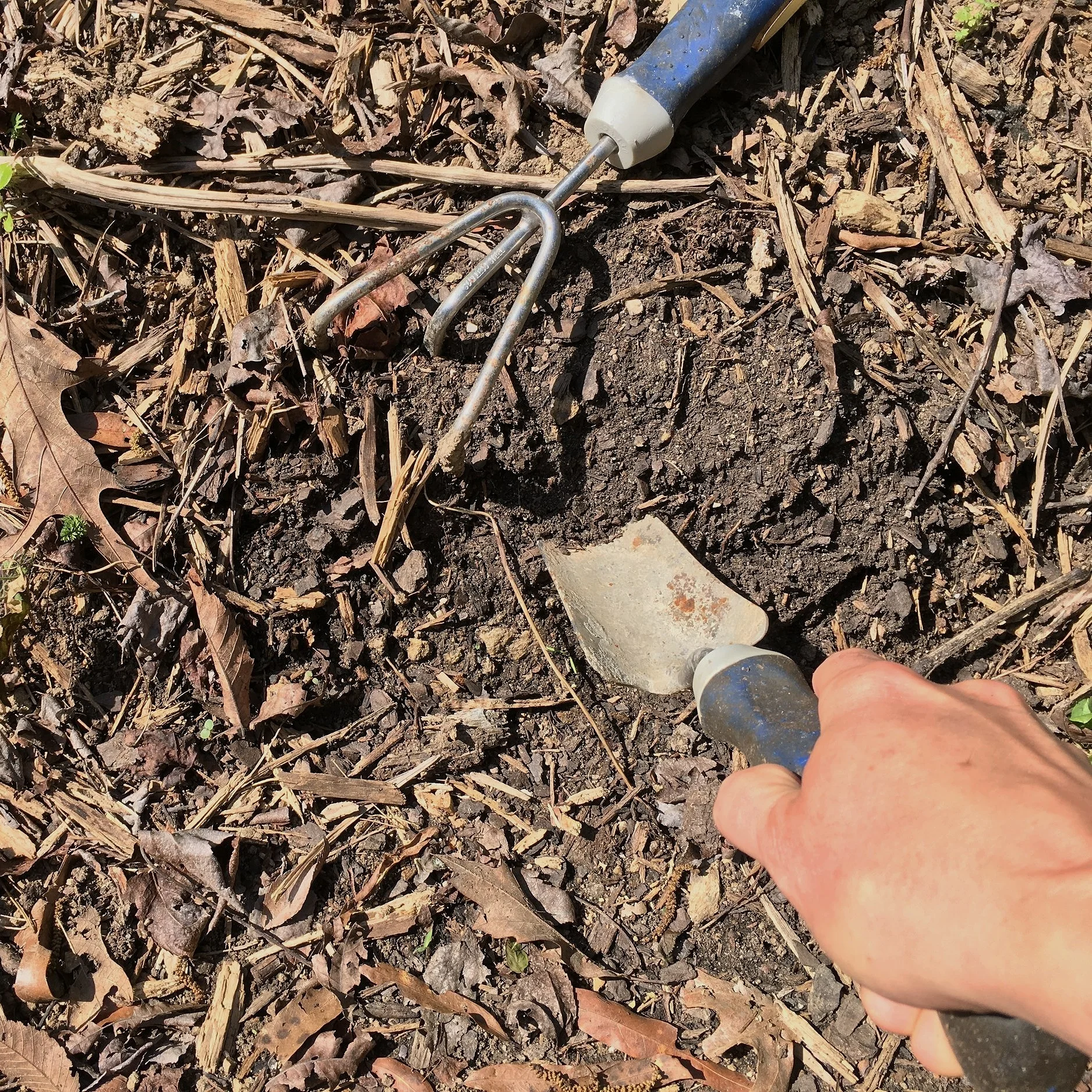 Soil Amendments for Most Nutritious Vegetables