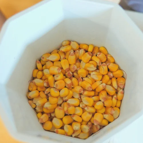 How to Grind Corn at Home: Easy Steps for Fresh Flour