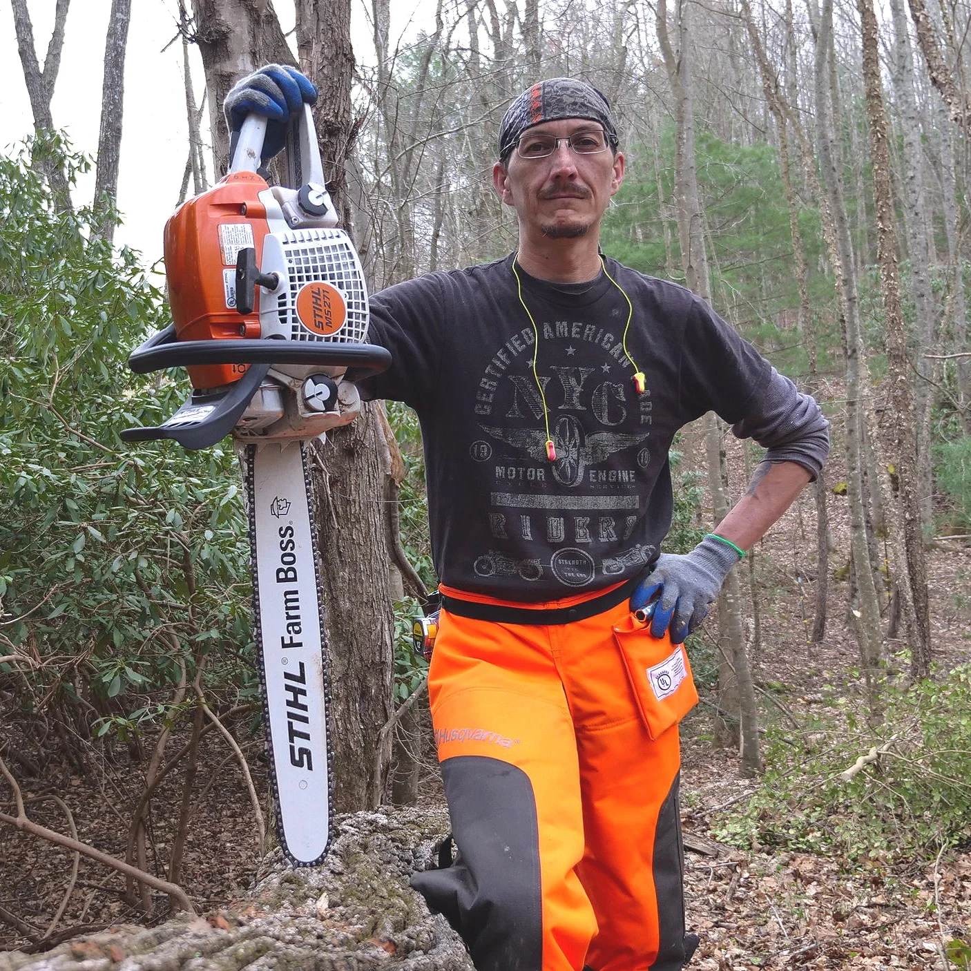 Firewood 101: Selecting Trees, Chainsaw Basics, and Simple Wood Storage to Get You Started Now