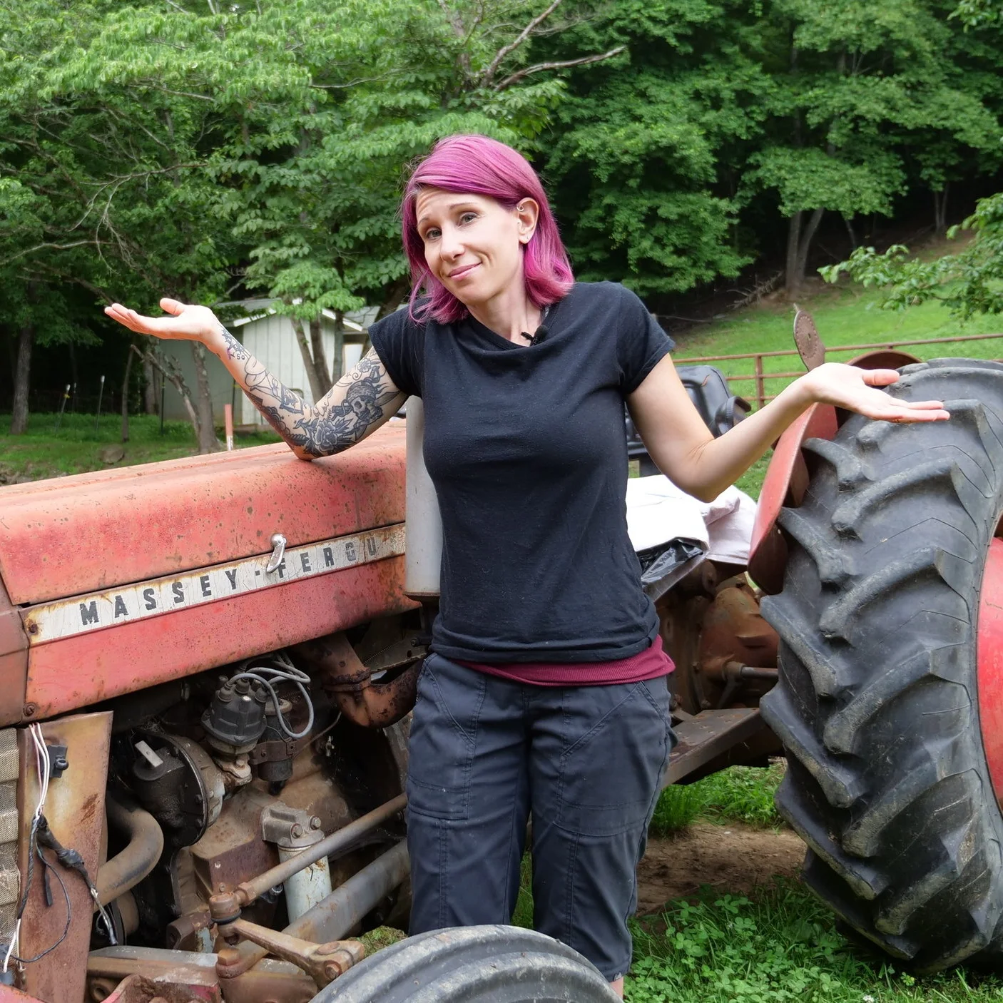 New Homestead: Are We Going To Have a Garden This Year?