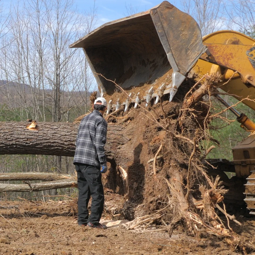 Pulling Stumps and Rough Grading