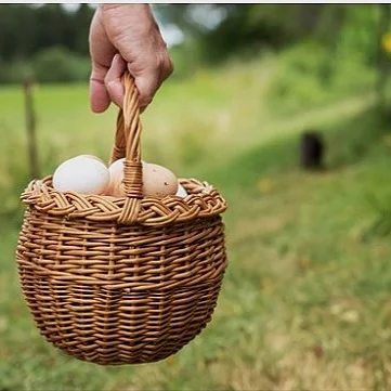 We Answer Questions About Our Off-Grid Homestead Plans