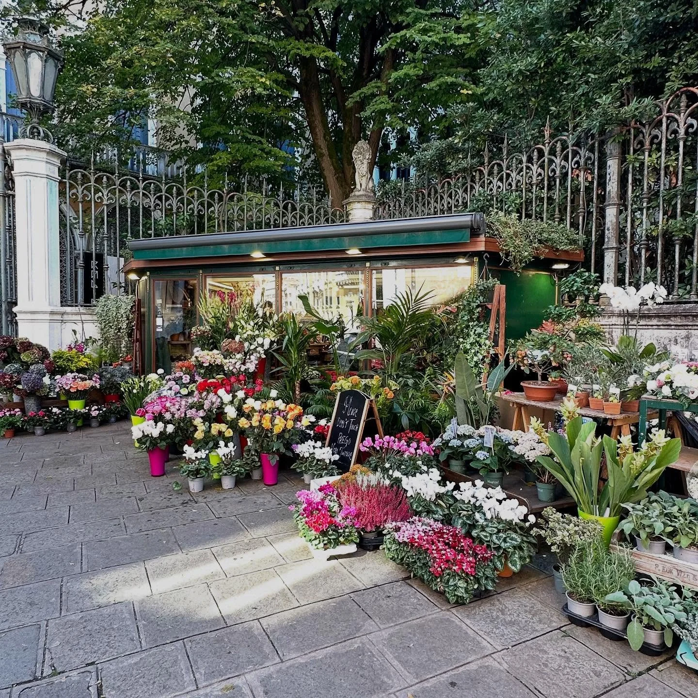 Venice is a captivating city for sure, but it&rsquo;s much more than Gondolas and canals. Today we are taking you along on our walking tour of some beautiful Venetian gardens. 👈 Swipe left for beauty 🌸🌺⛲️
