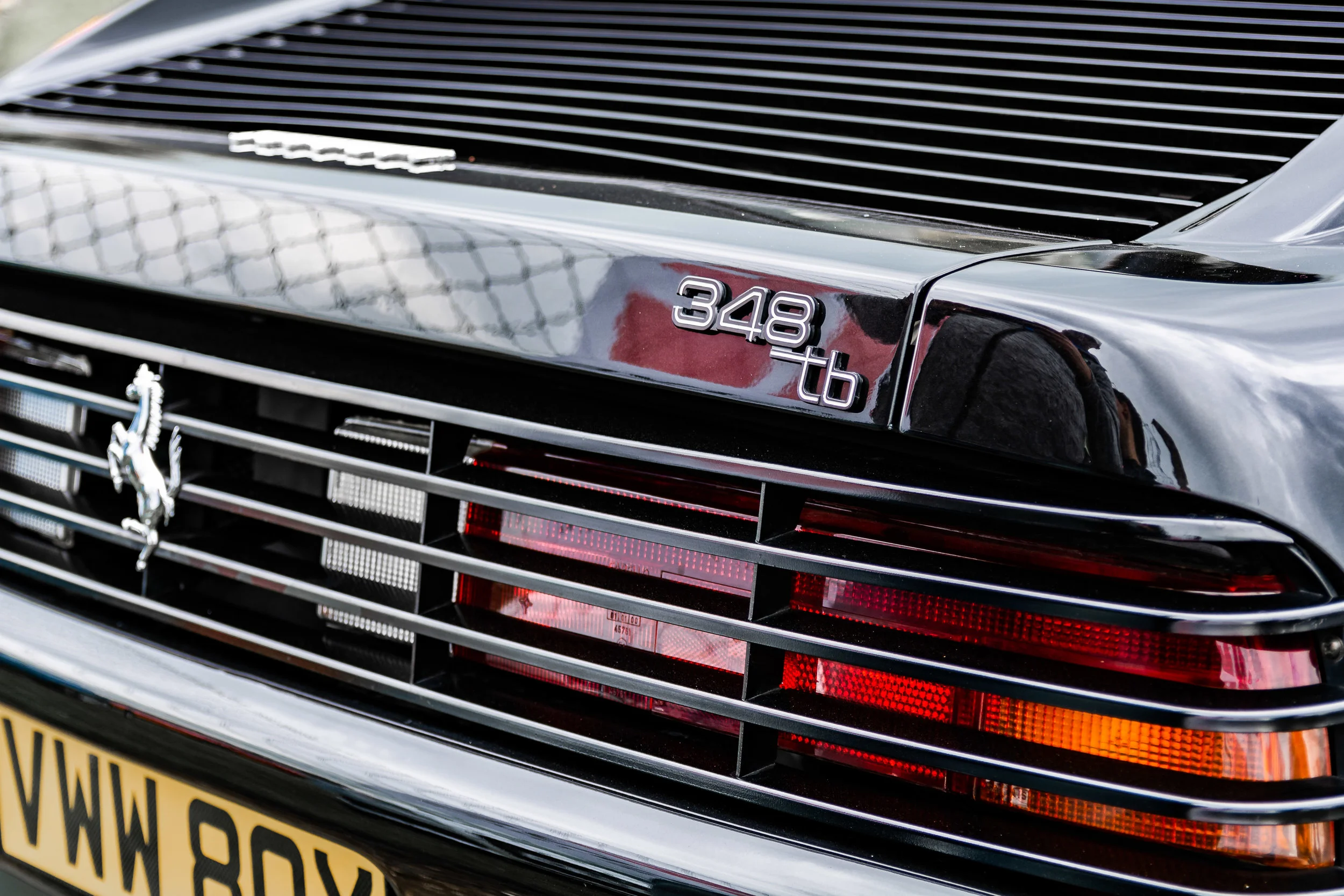 Modified live-65.jpg