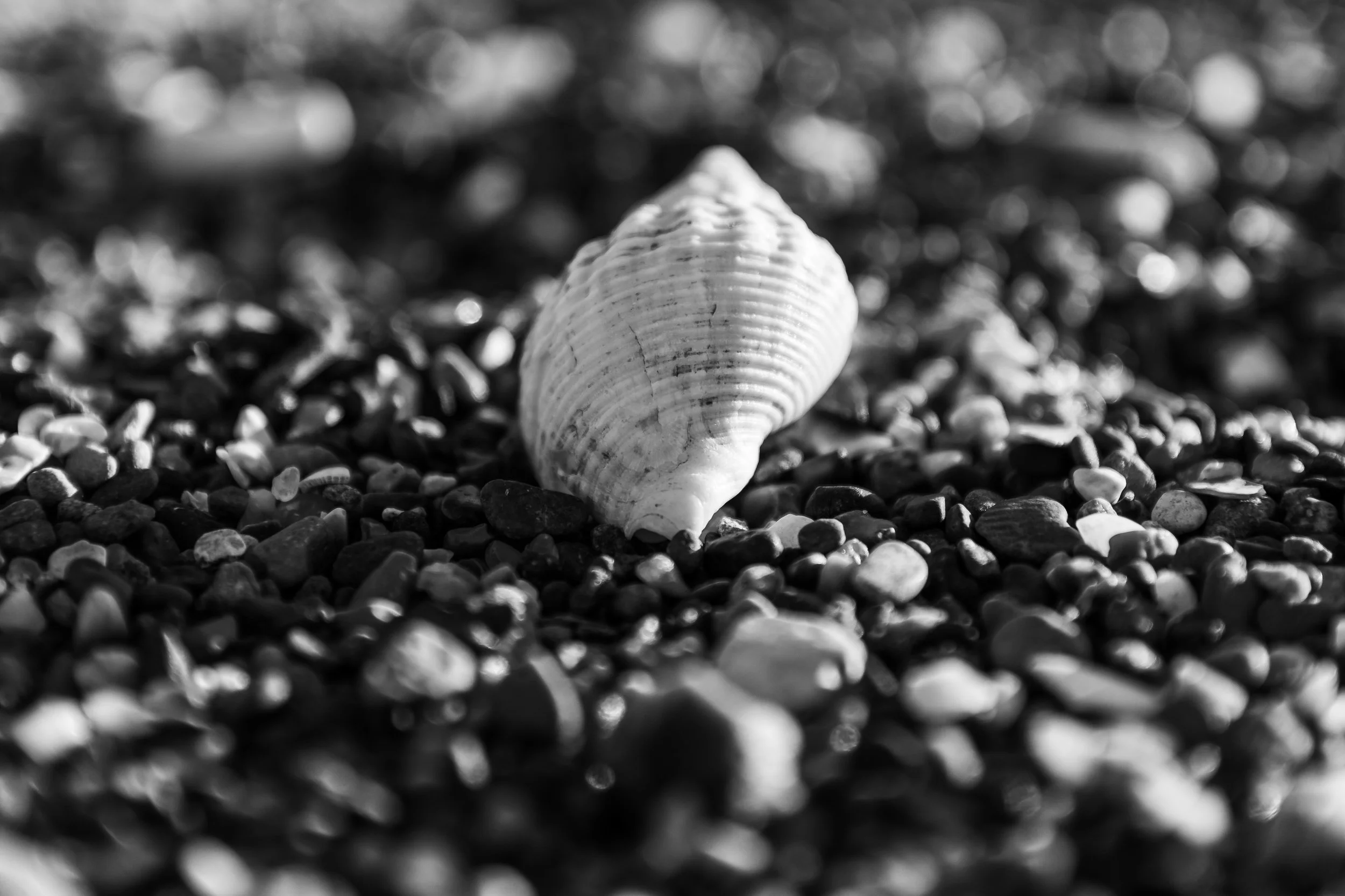 Anderby creek-20.jpg