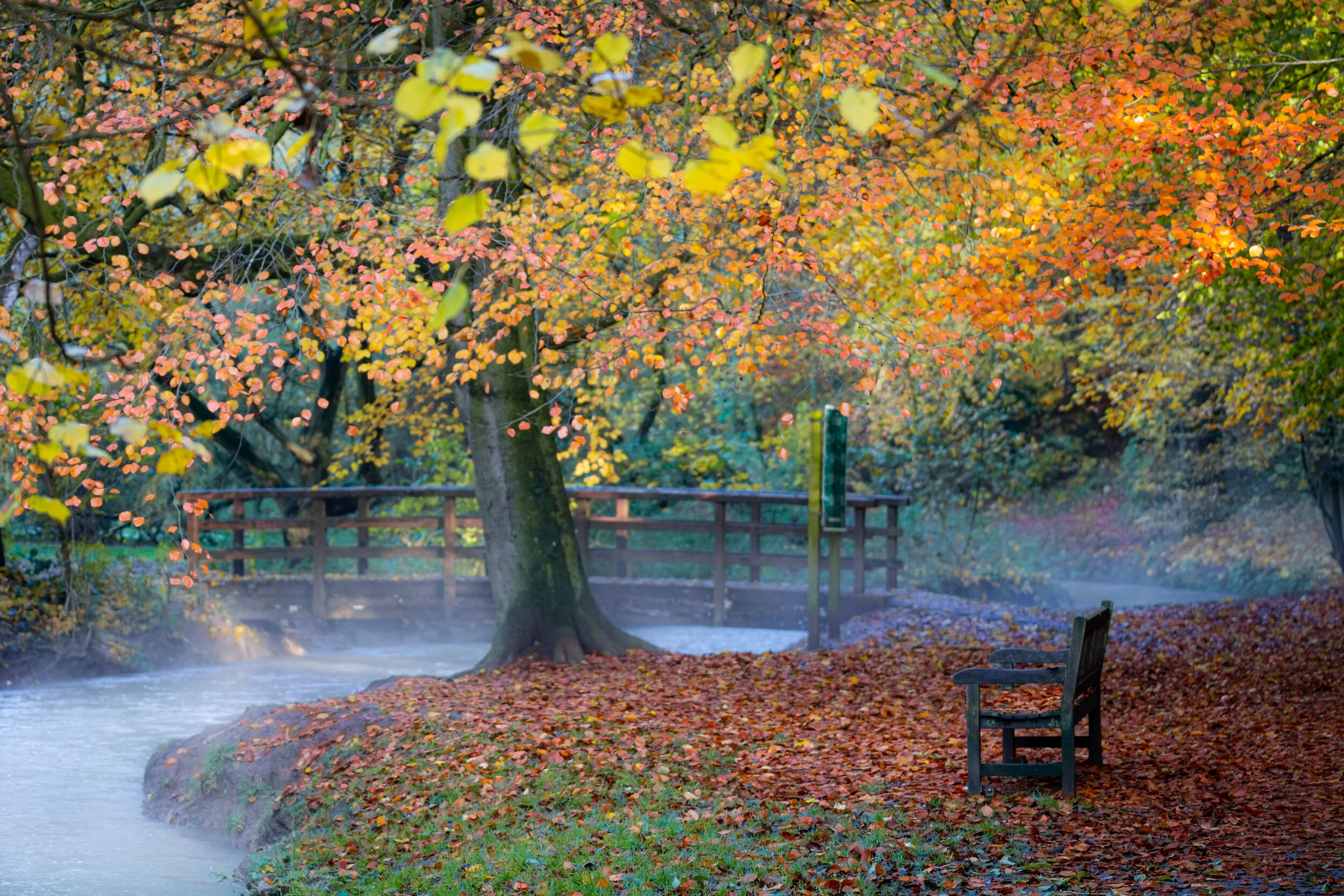 autumn.jpg