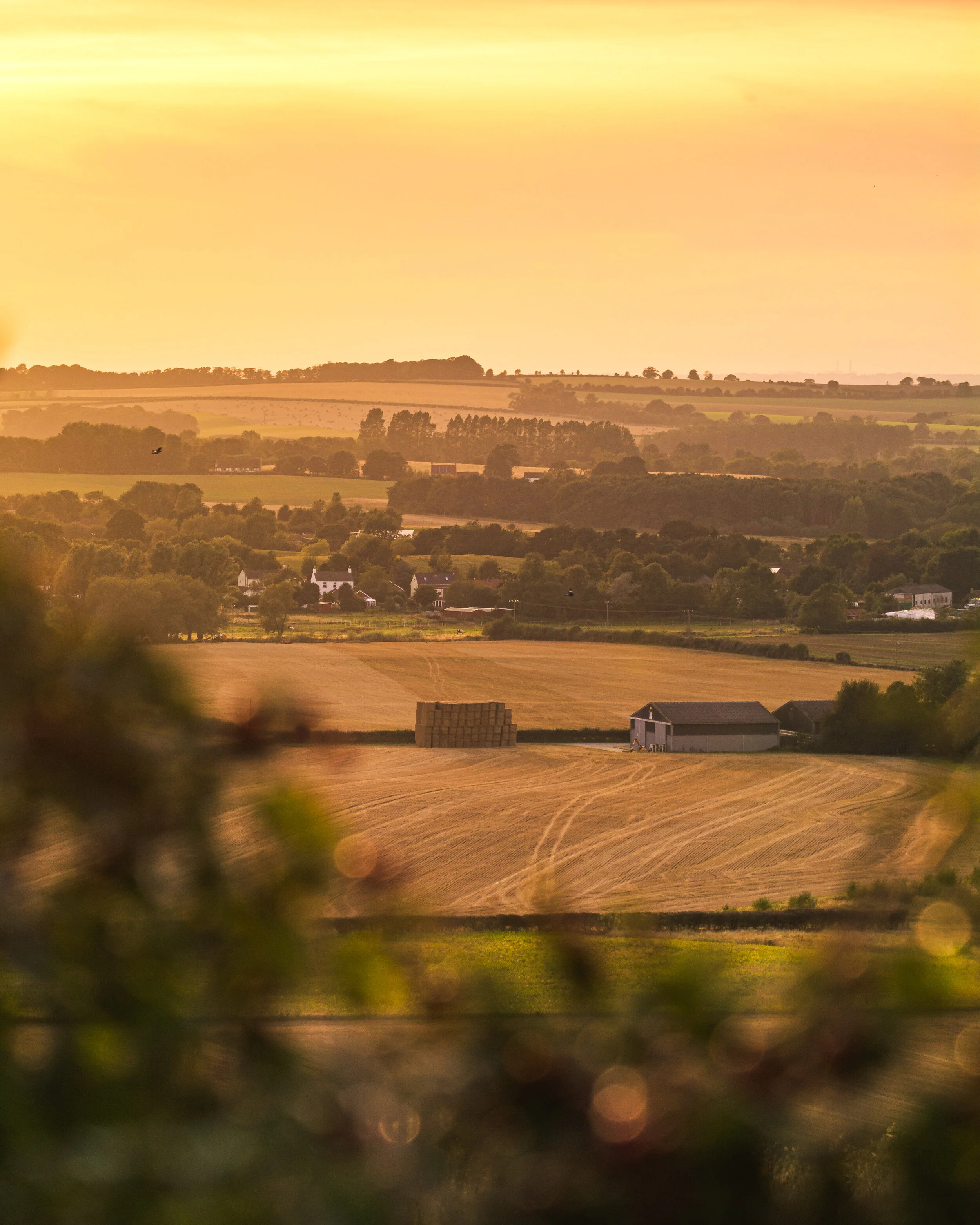 sunset-5.jpg