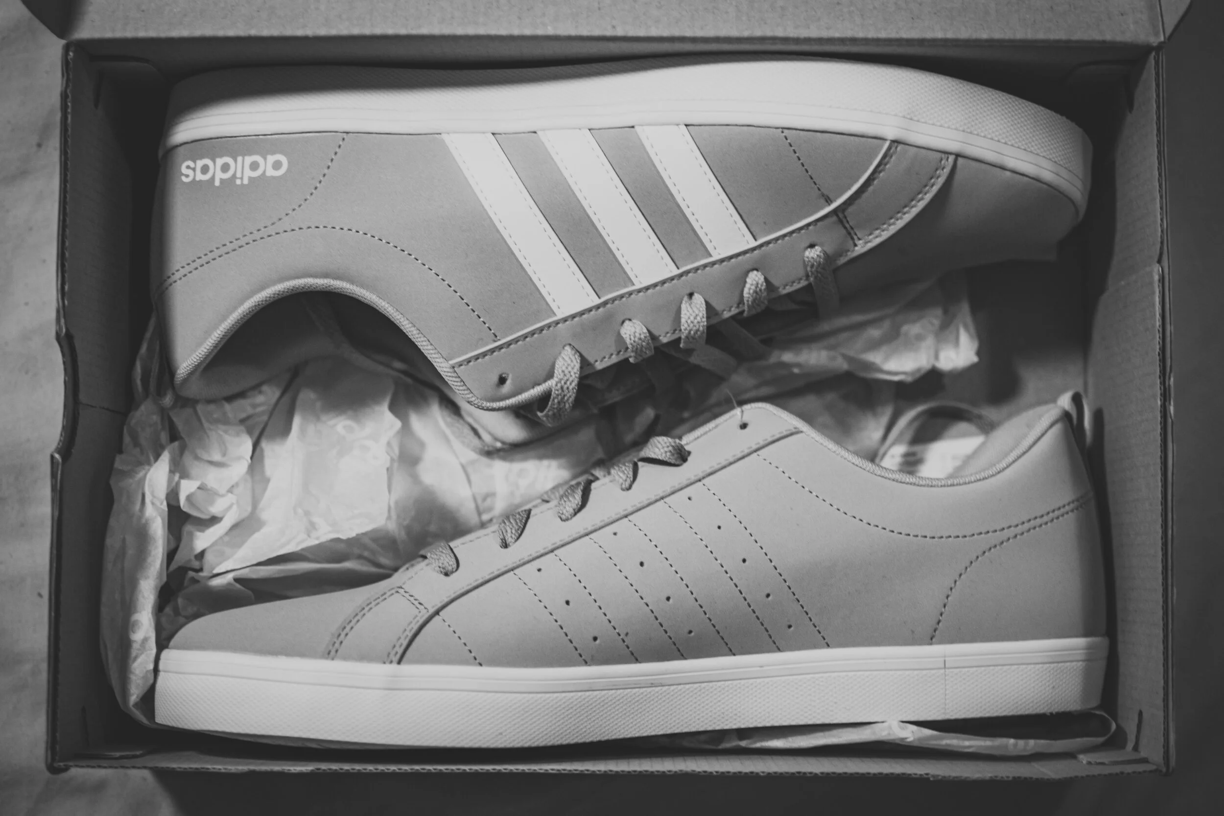 addidas-2.jpg