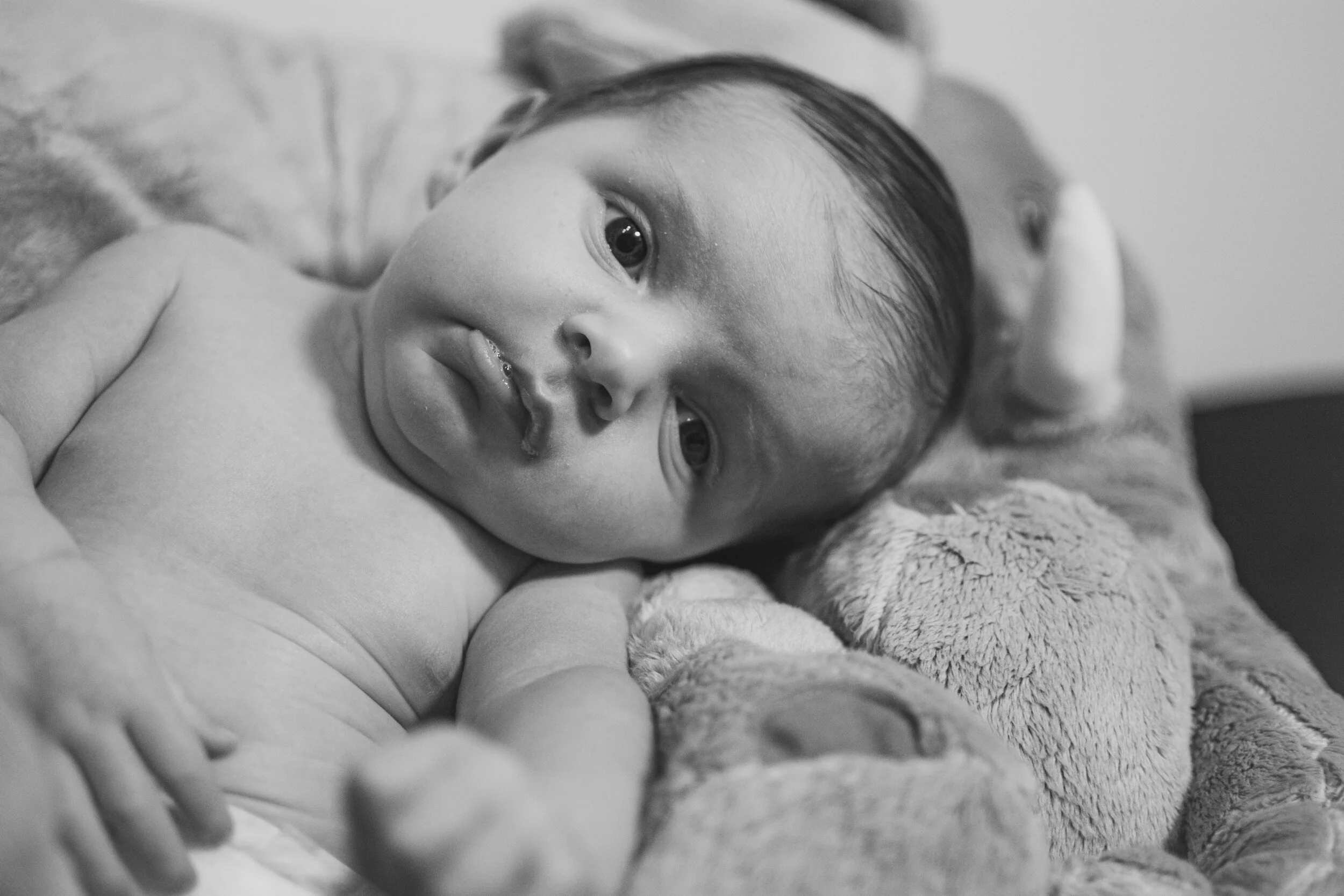 Marley-118.jpg
