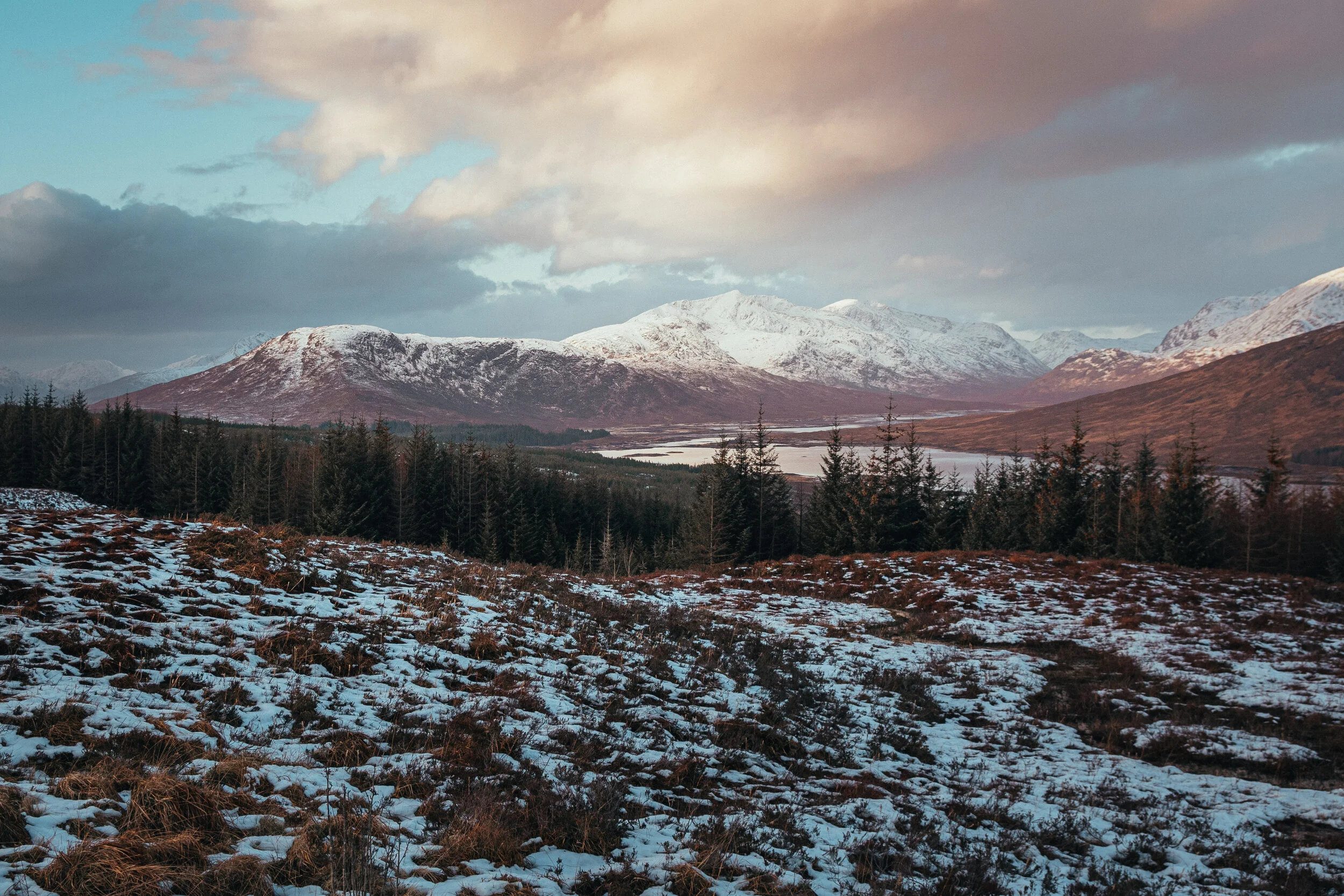 Skye-2.jpg