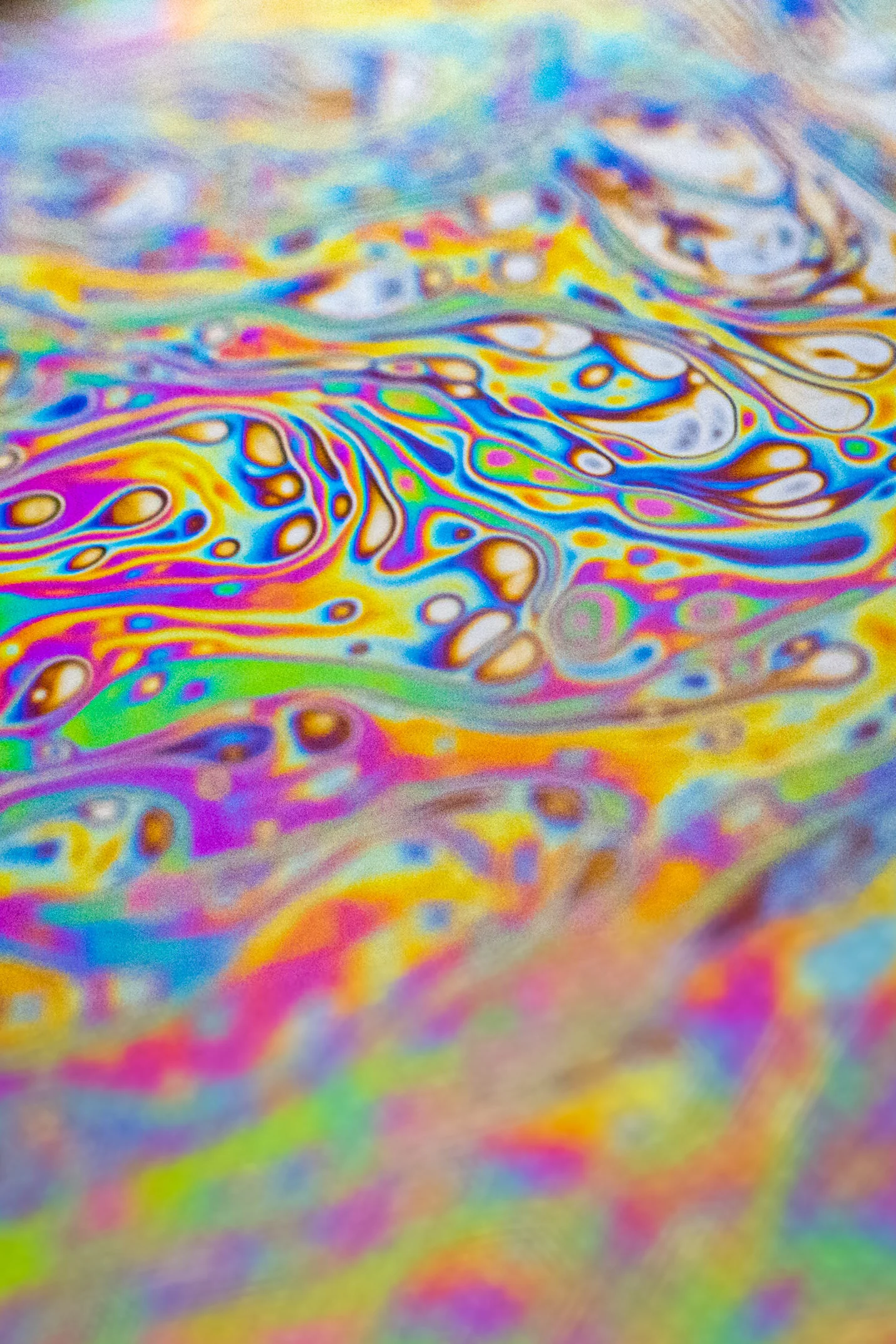 Macro-41.jpg