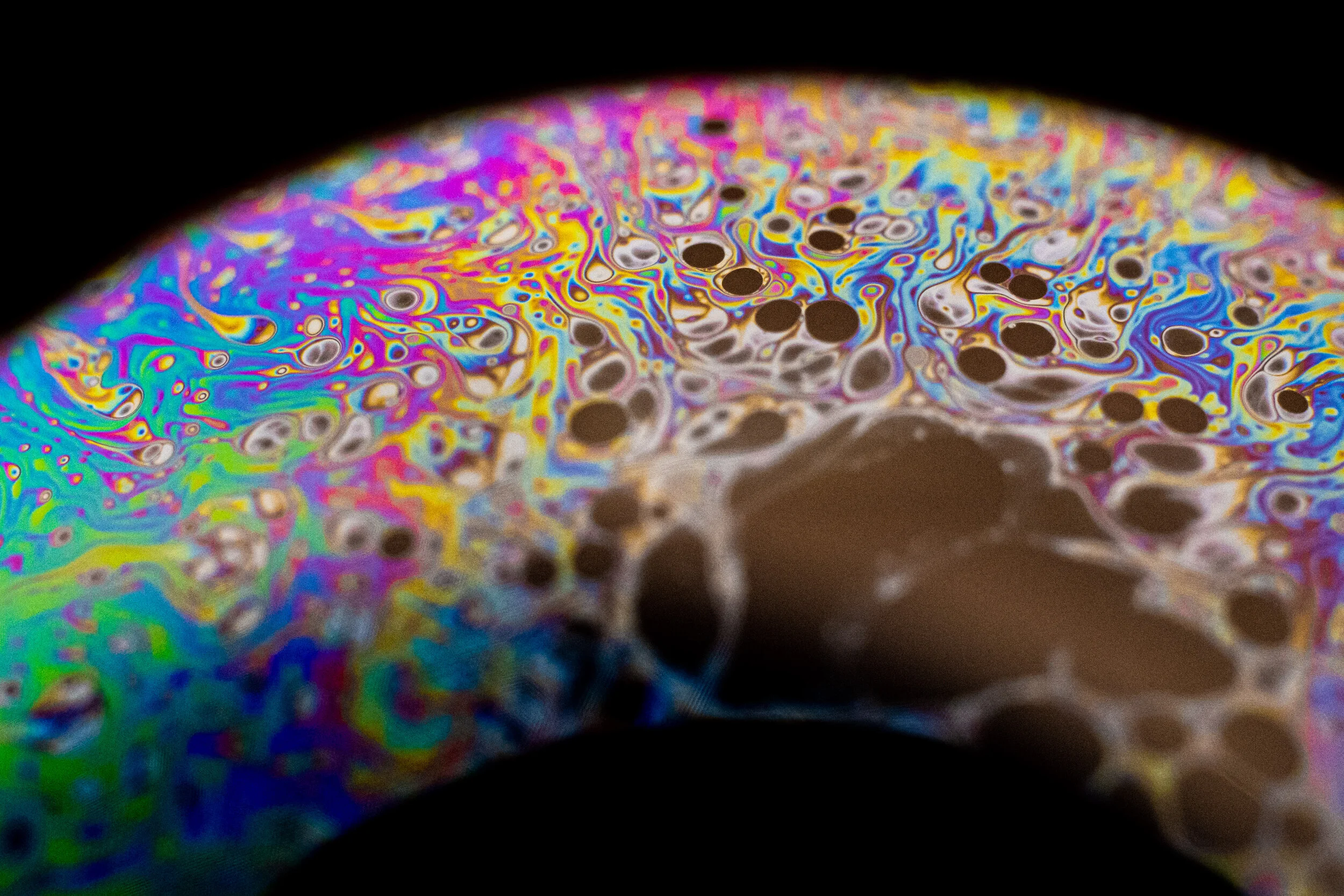 Macro-33.jpg